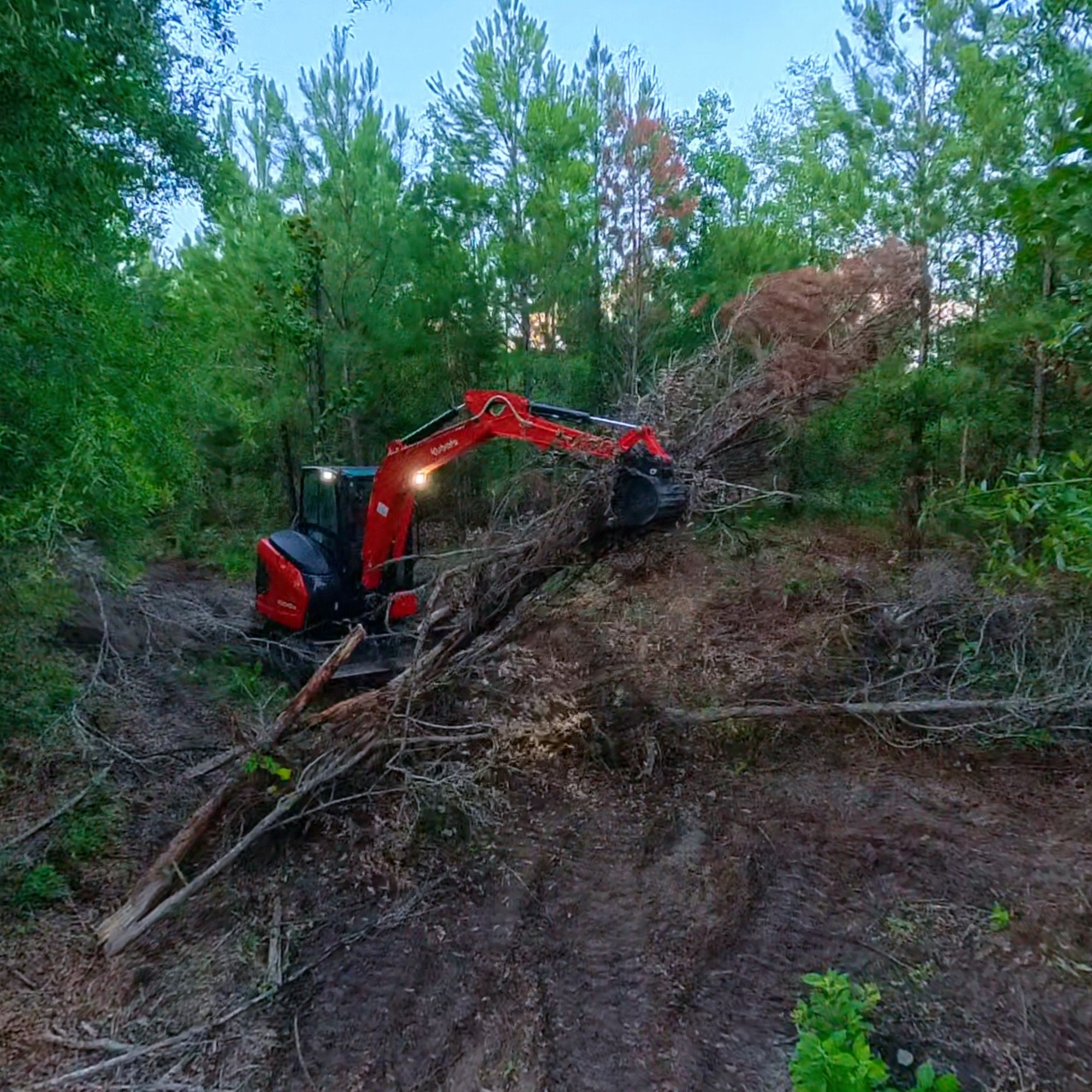  for Family Roots Landworks and Debris Removal in Newberry, FL