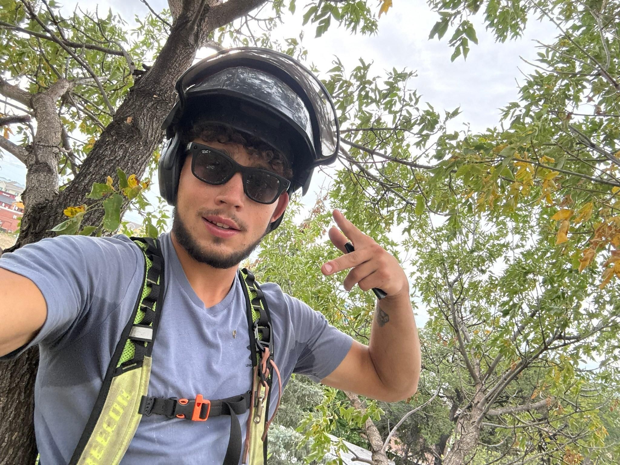  for Elevated Tree Care in Gillette, WY