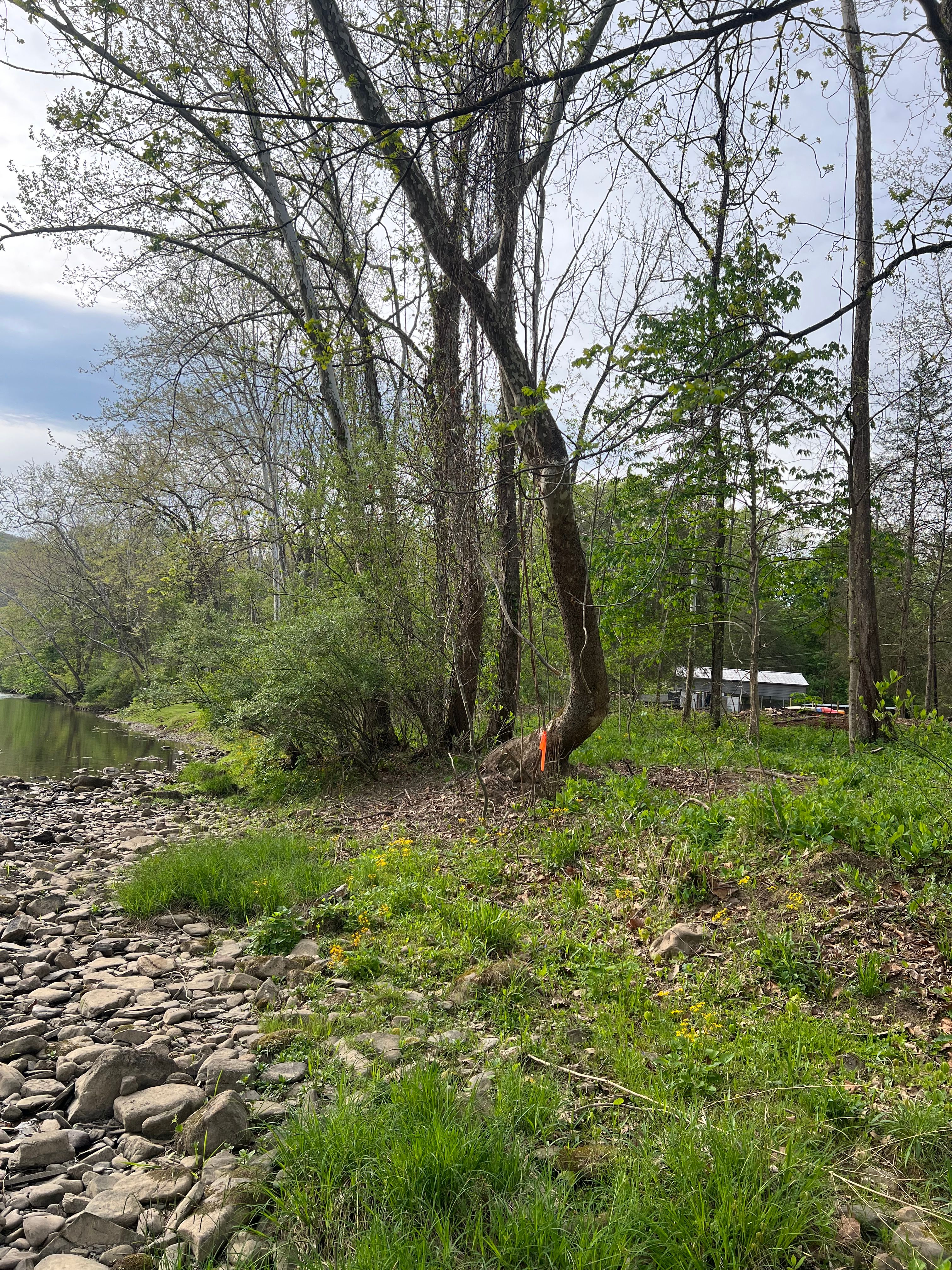 All Photos for Clarke Excavation Co. in Covington, VA