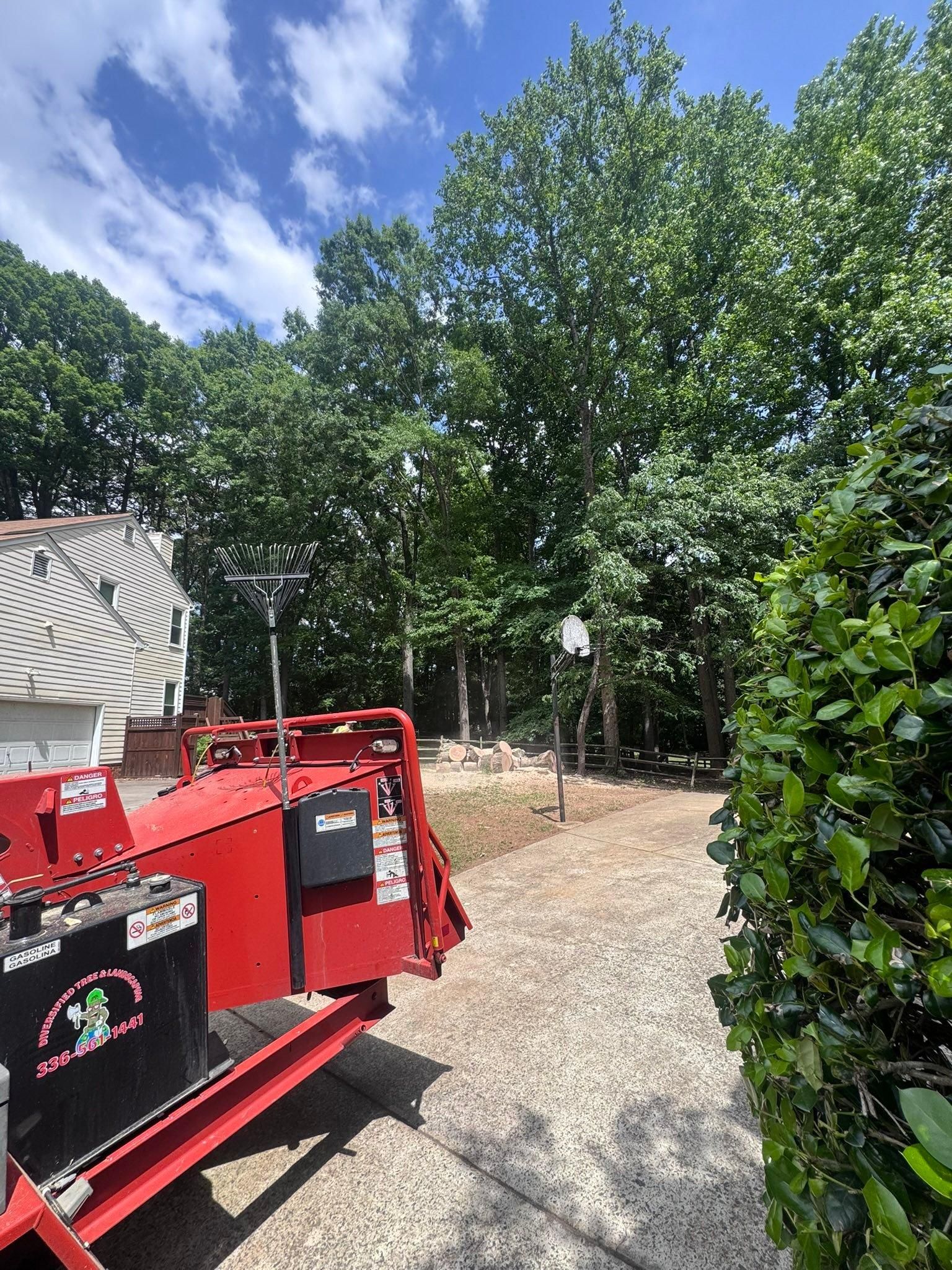  for Diversified Tree Company in Trinity, NC