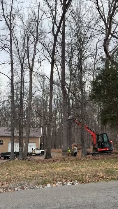  for Brocks Tree Service LLC in Rogersville, TN