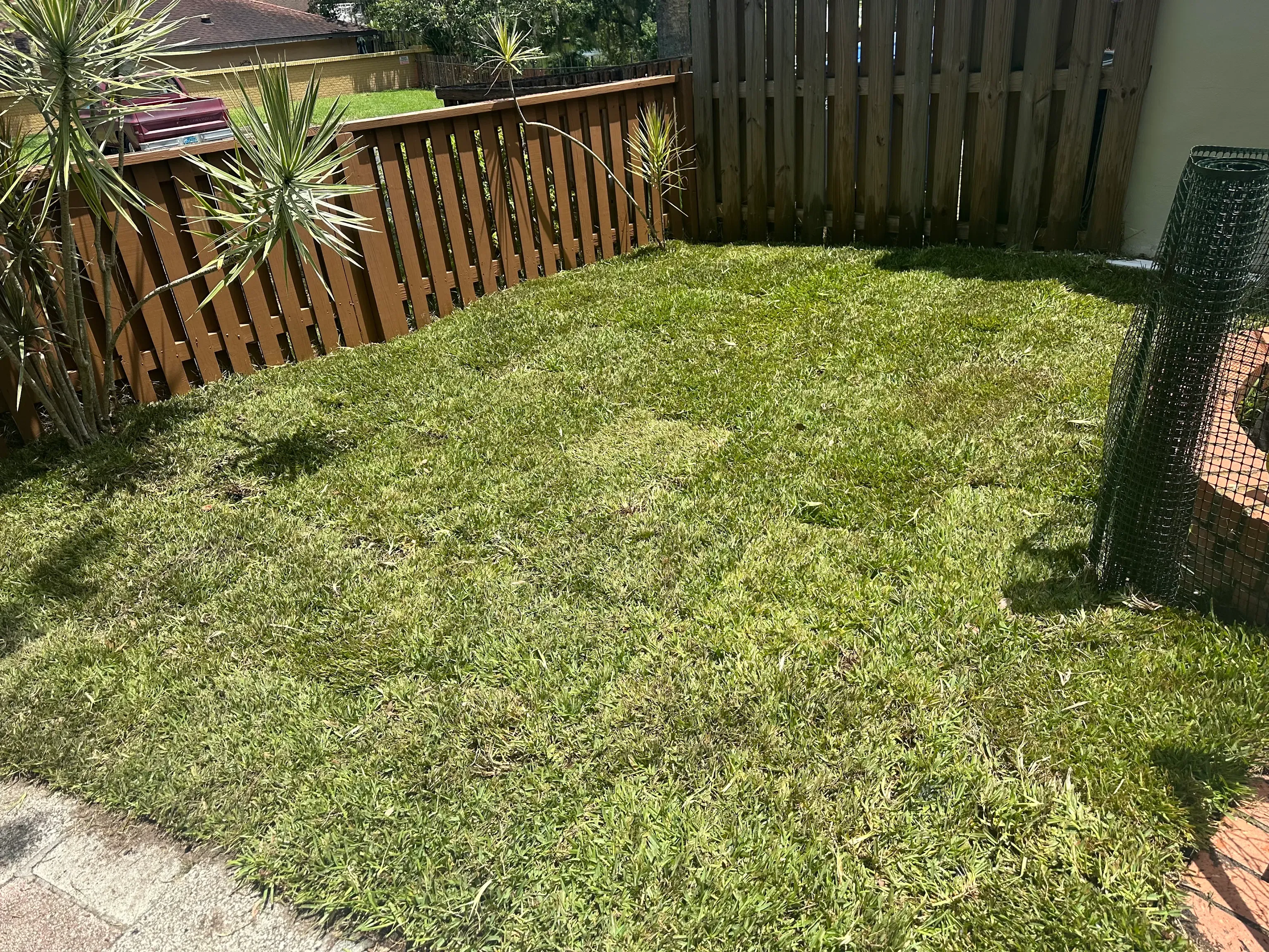  for Gulf Bay Sod in Clearwater, FL
