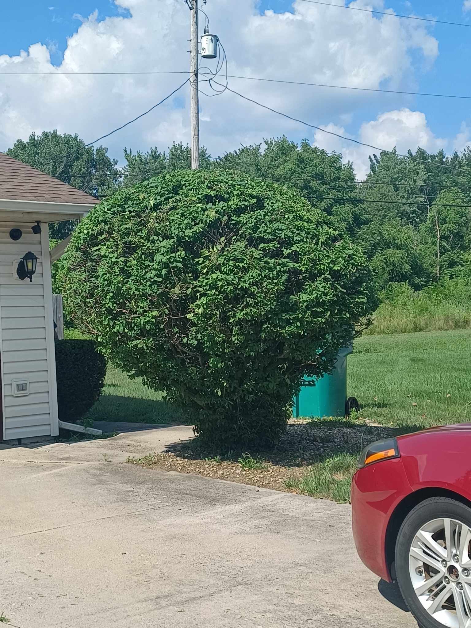 All Photos for Prime Landscaping 219 in Lake Station, IN