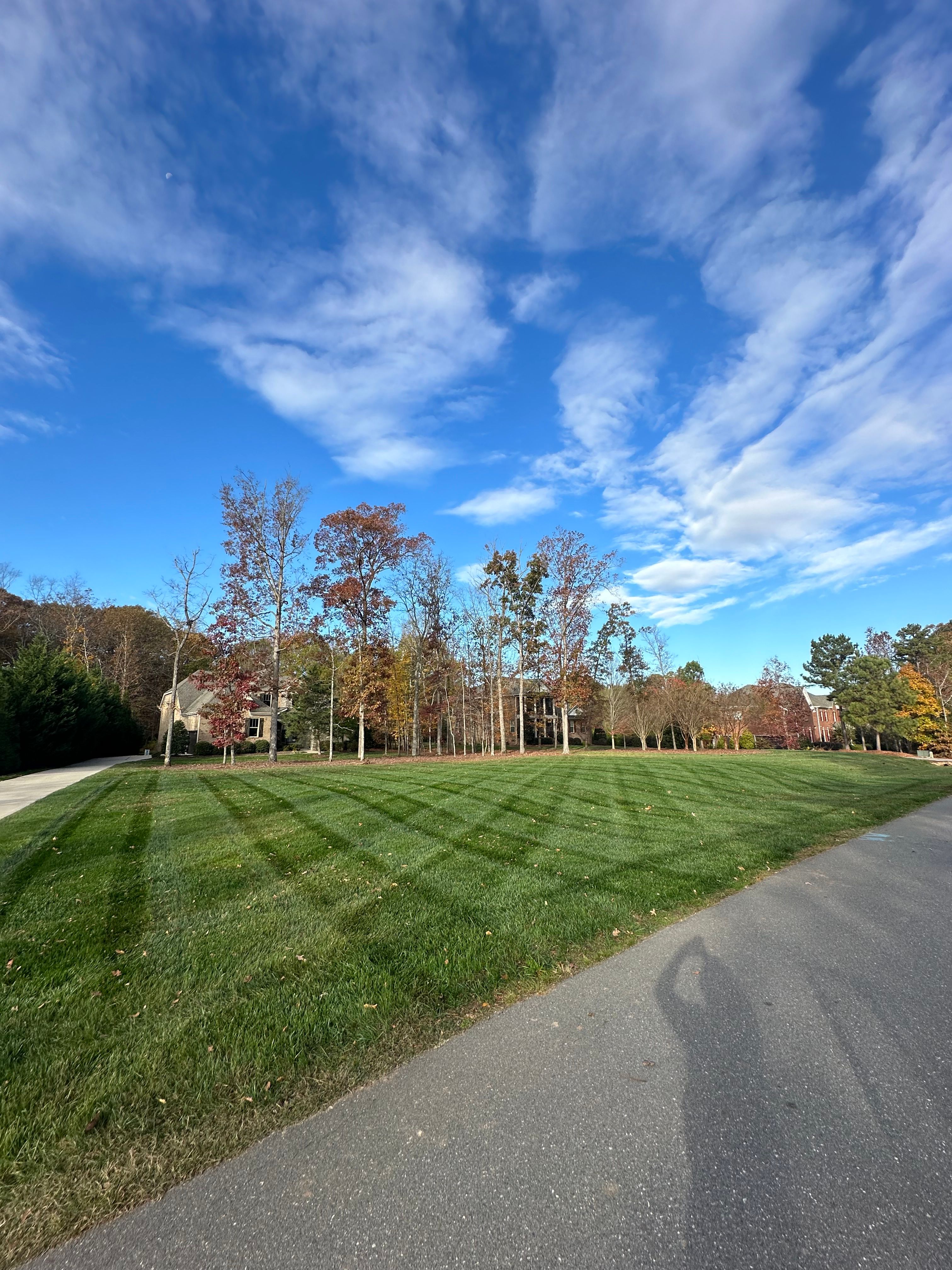  for Pecina Pine Needles in Monroe, NC