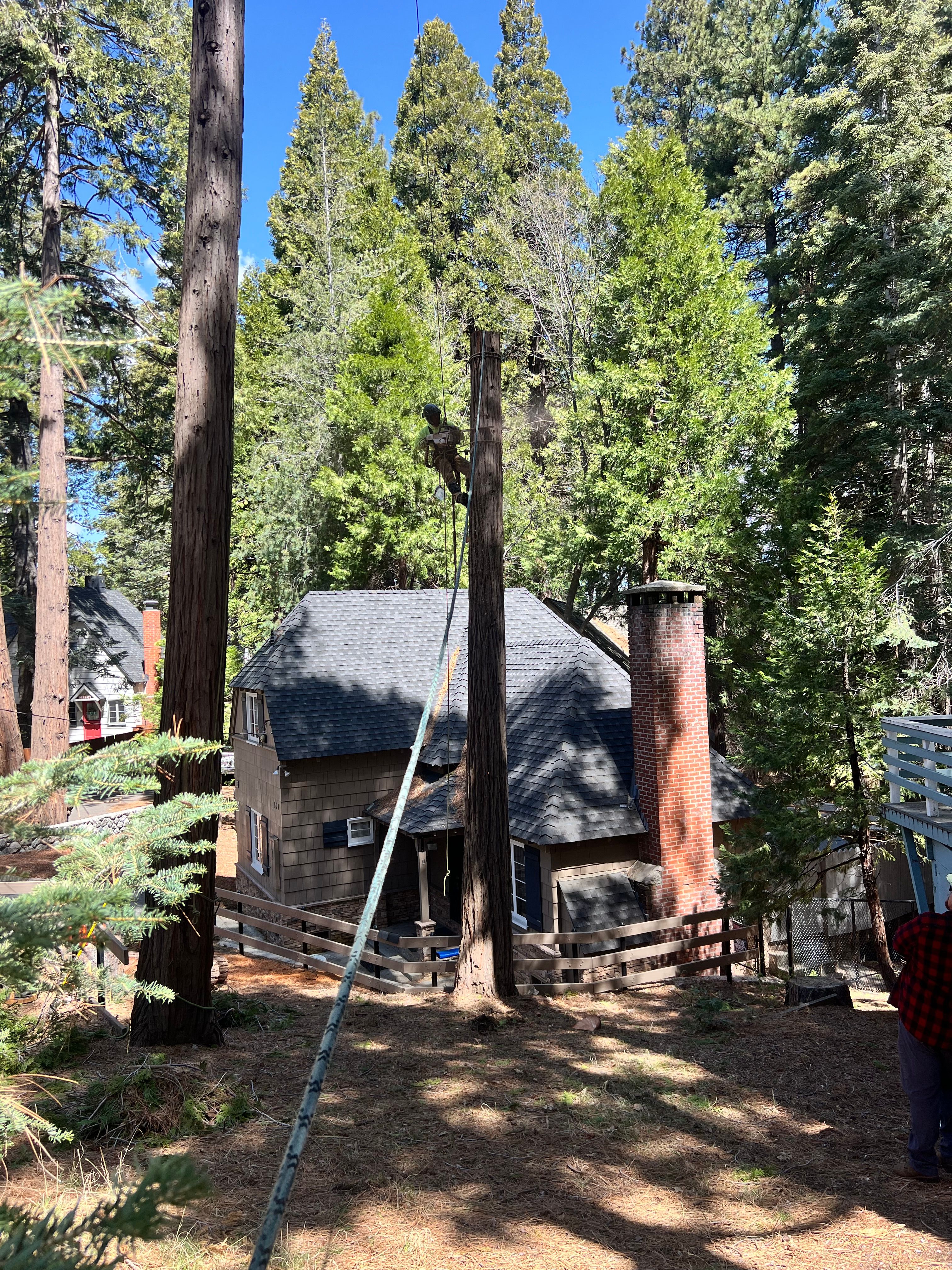  for Poseidon Valley Tree Service Corp in San Bernardino, CA