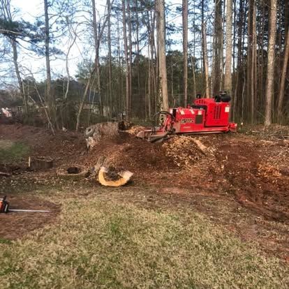  for Falcon stump grinding Tree services in Loganville, GA