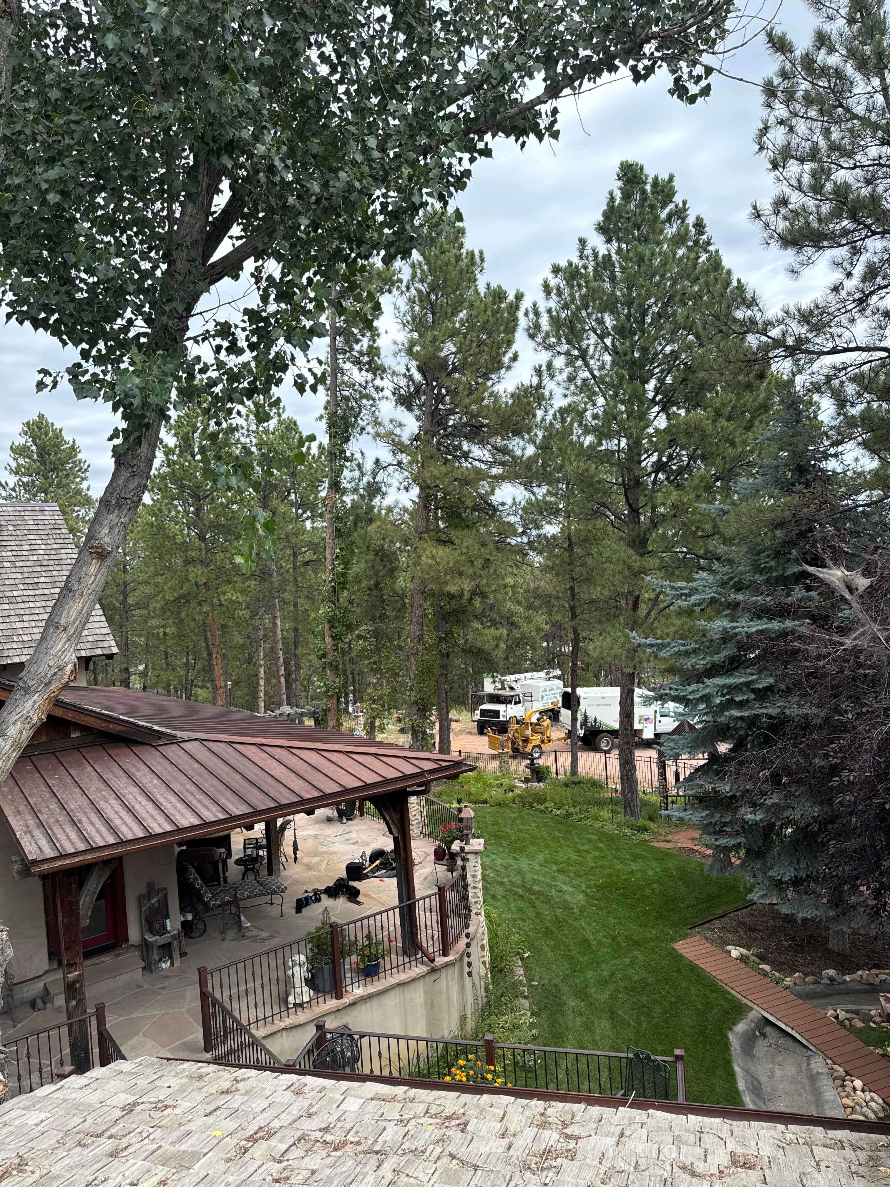  for Clean Cut Tree Service in Gillette, WY