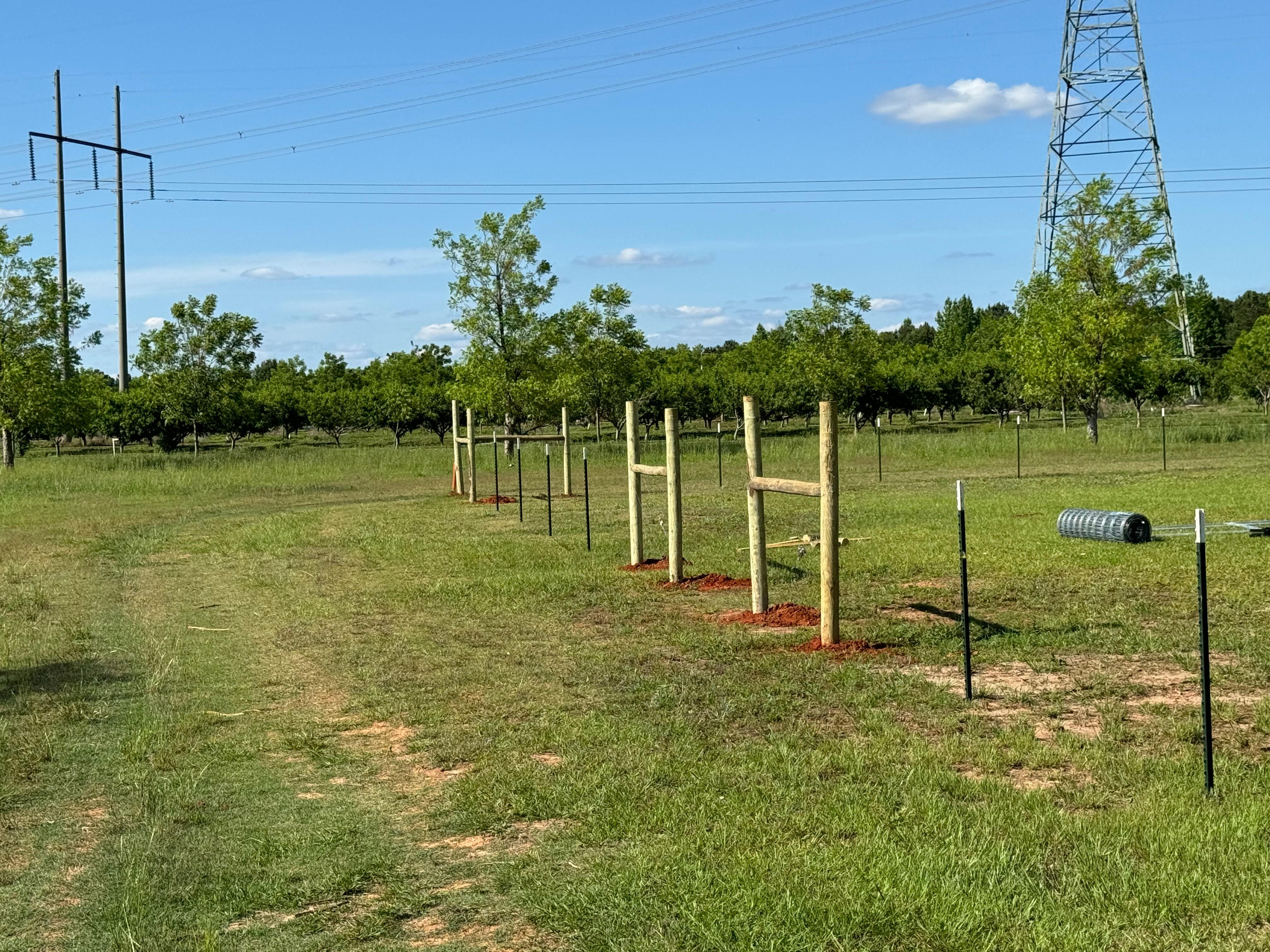 All Photos for Camalett Services in Perry, GA