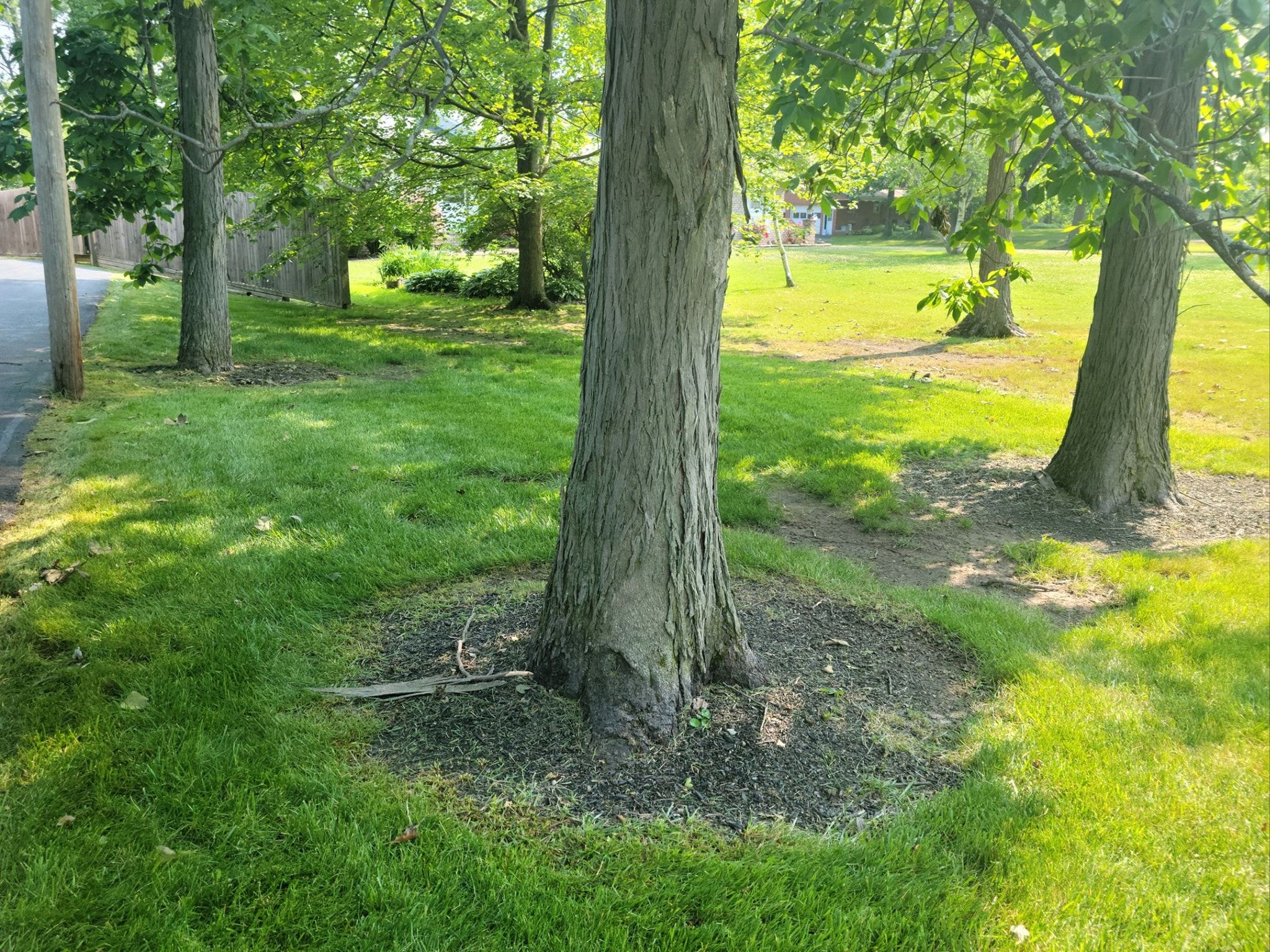  for A&A Lawnworks in Maximo, OH