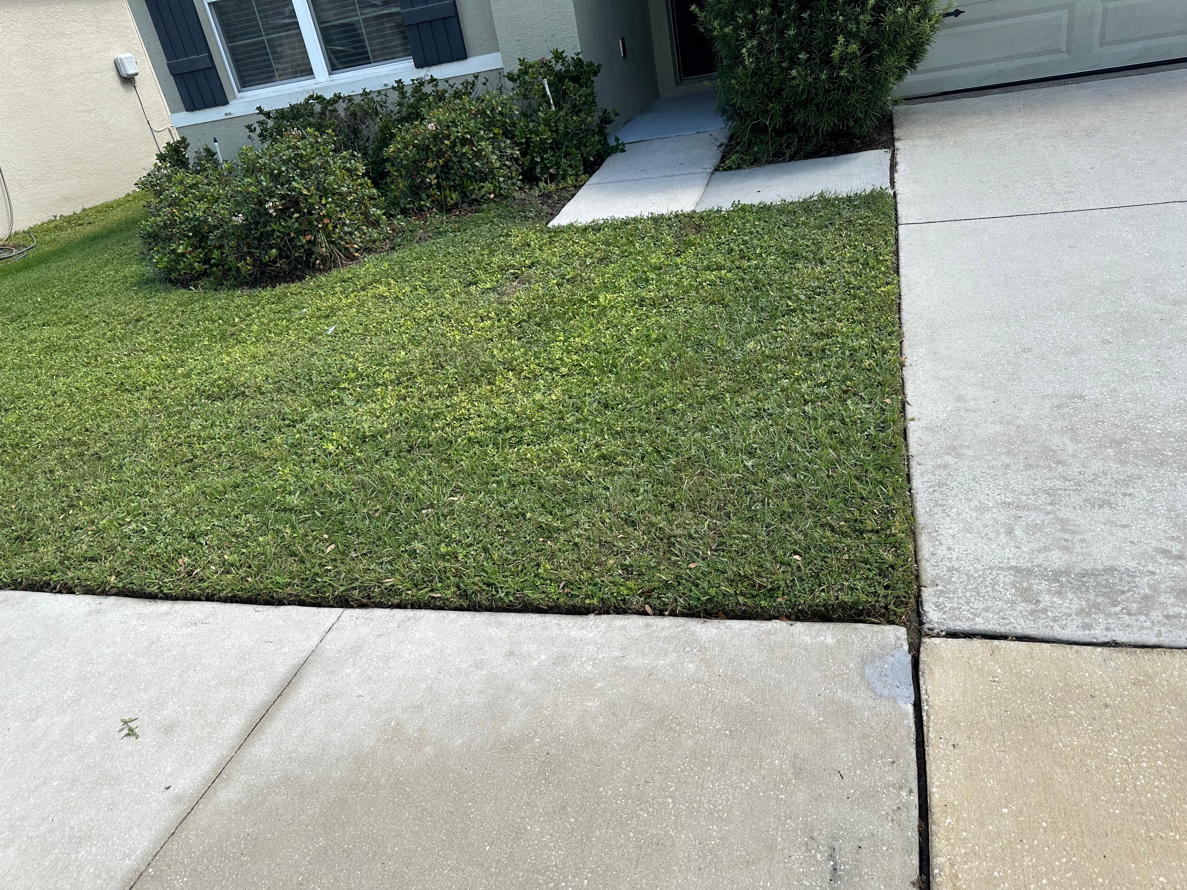  for The Yardman in Tampa, FL