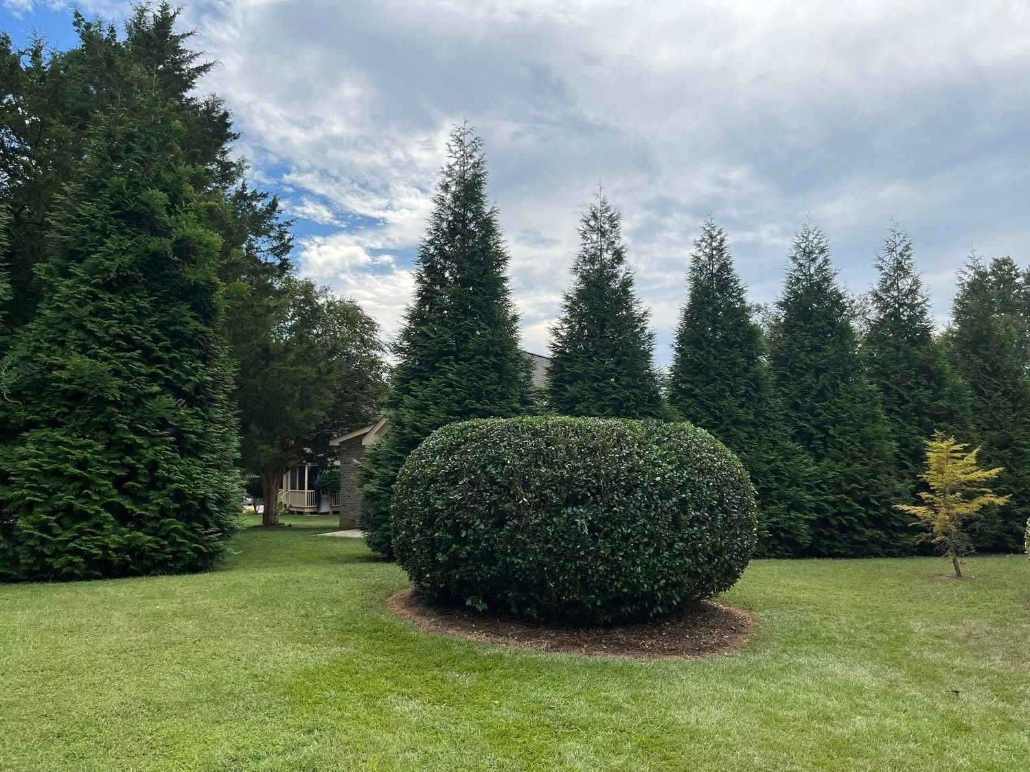  for Green Works Landscaping in Clayton, NC