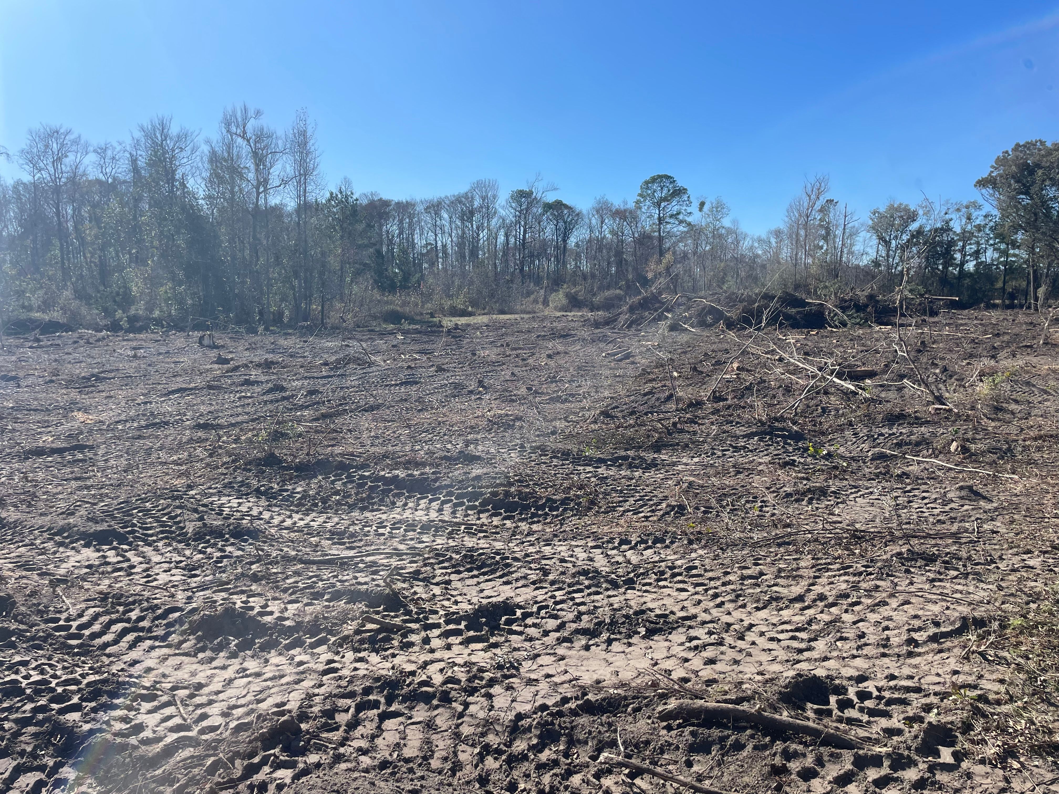 All Photos for Ewc Land Clearing and more in Lake Park, GA