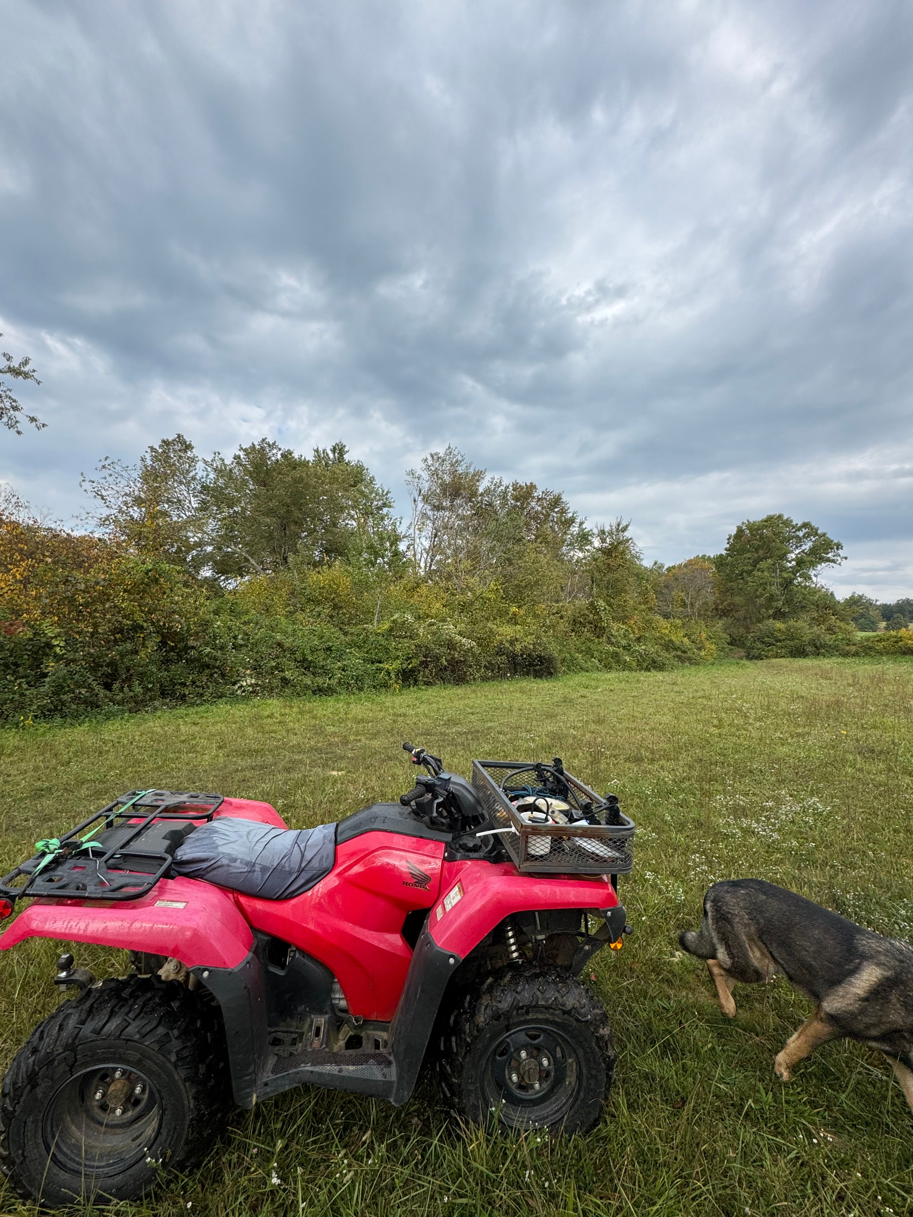  for Mountain Goat Land Management in Galax, VA