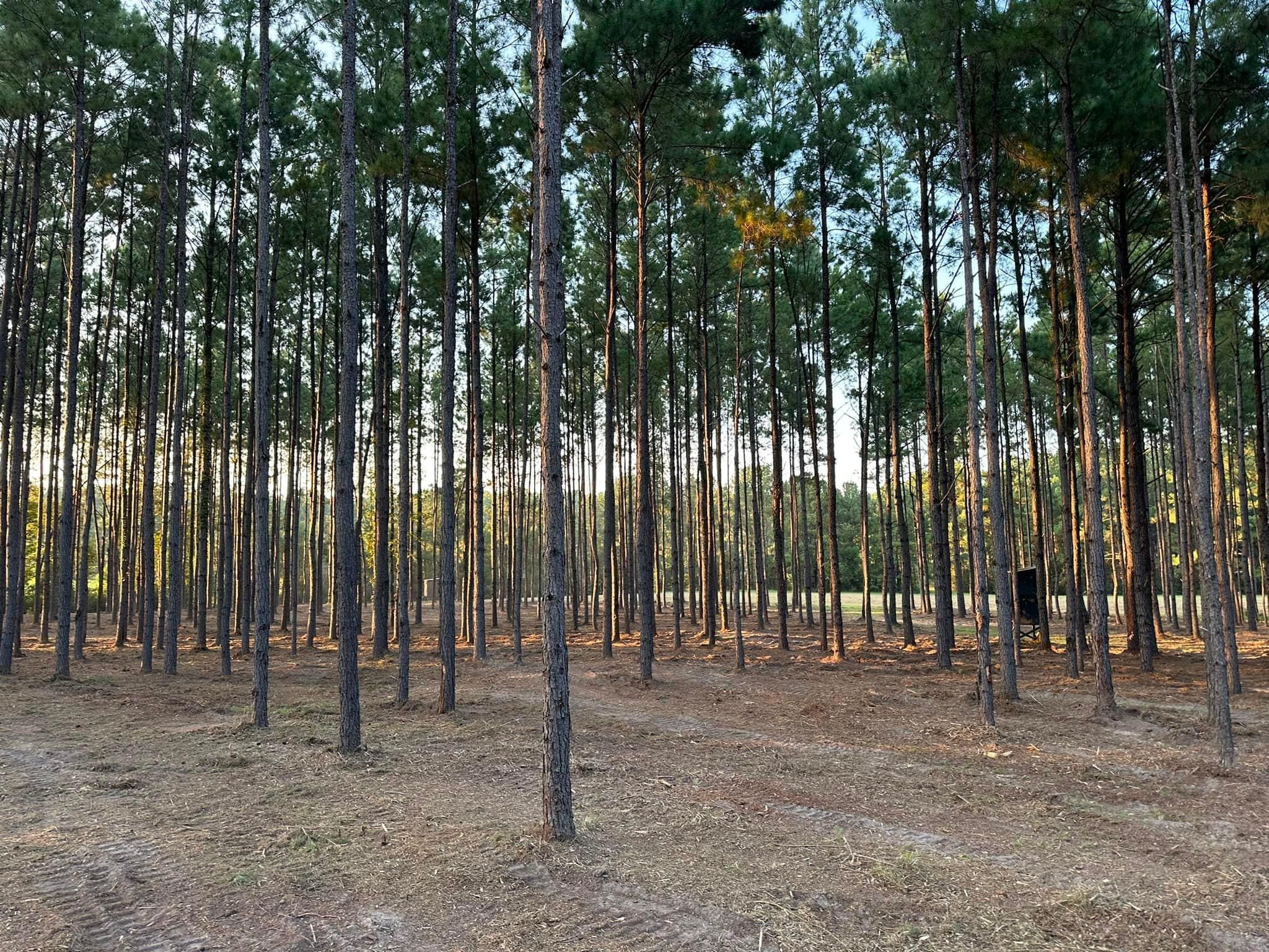 All Photos for White’s Land Maintenance in Milton,, FL