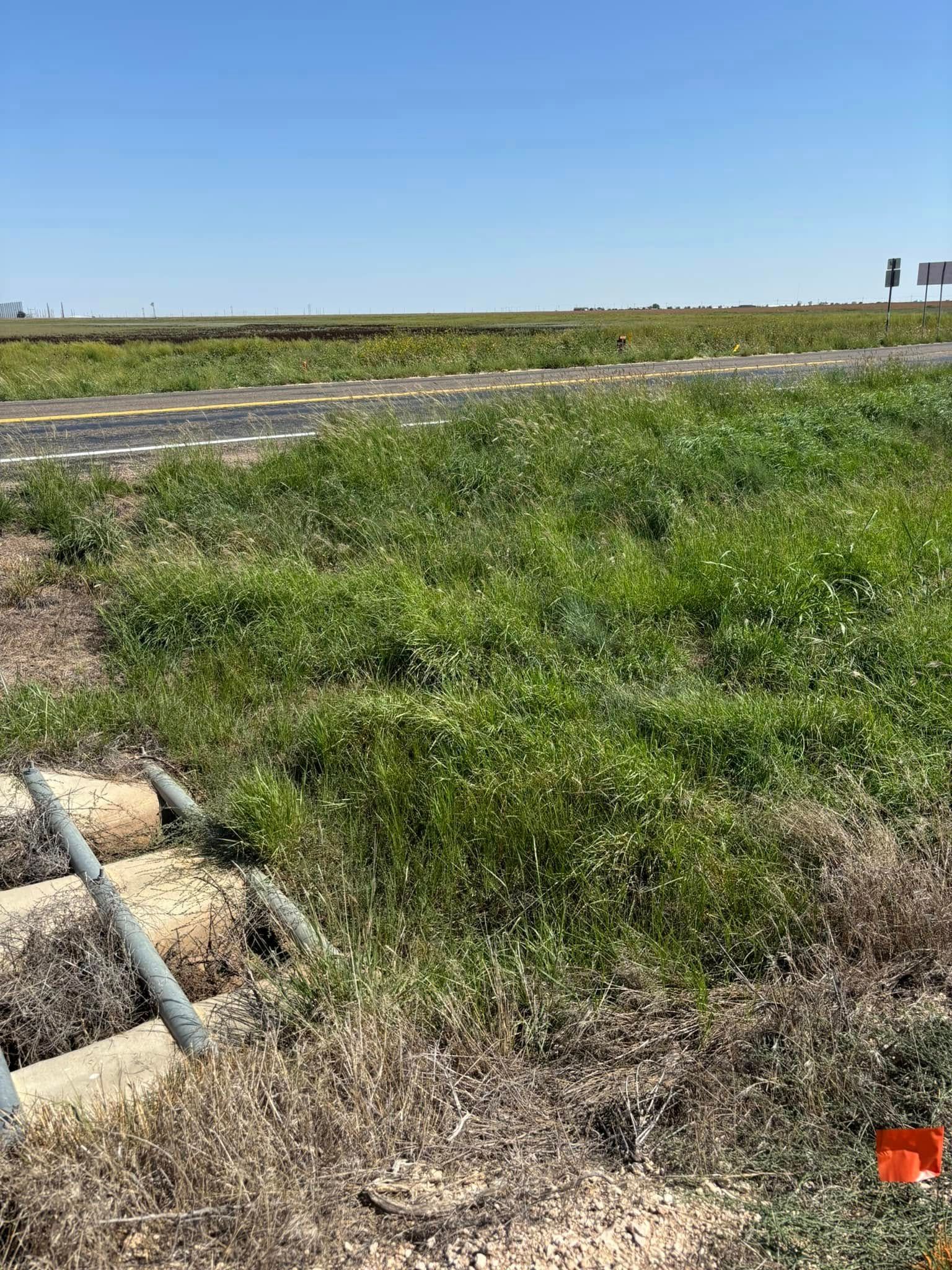  for Marple Services in Amarillo, TX