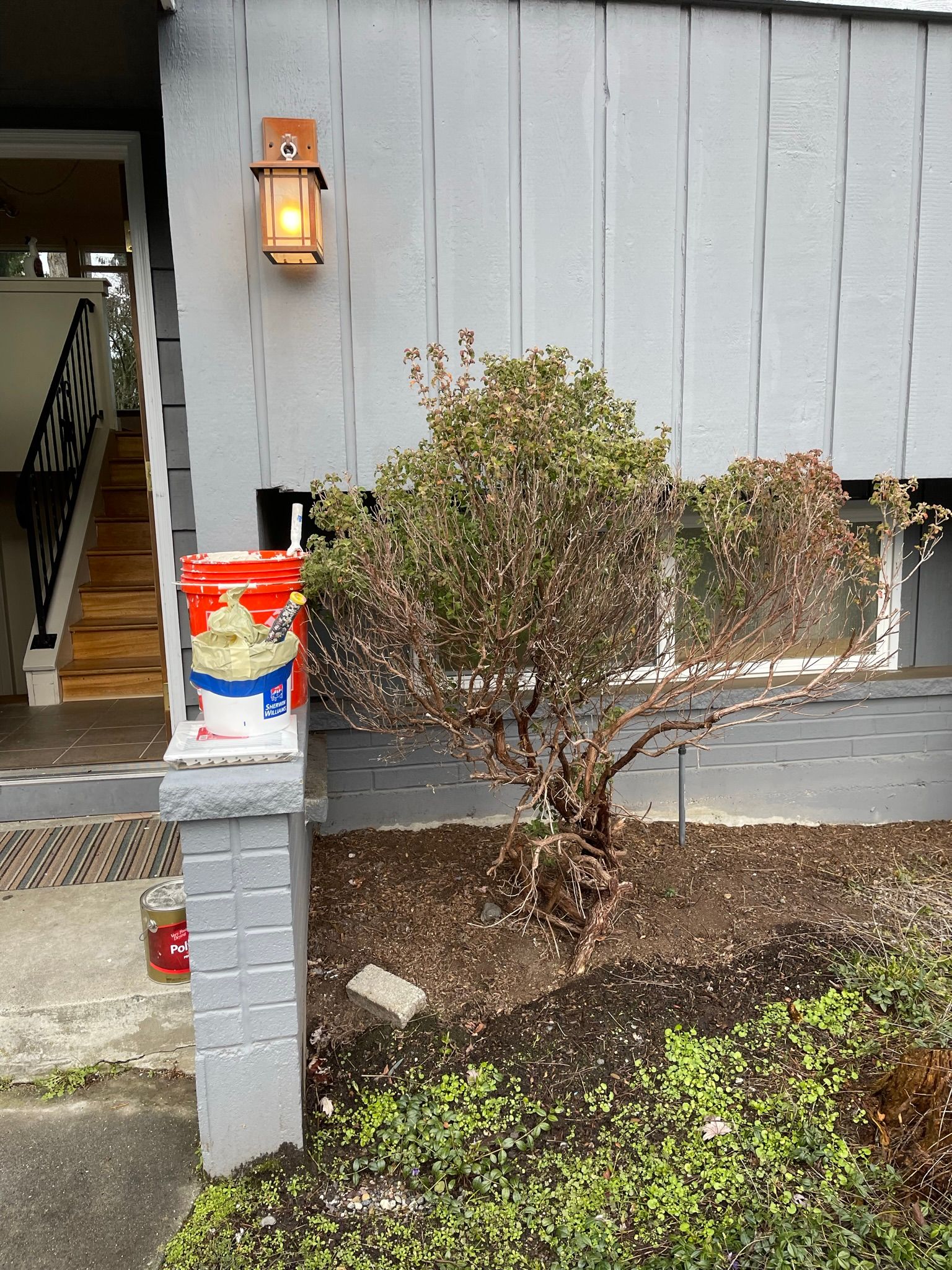  for Tony's Remodeling & Painting in Renton, WA