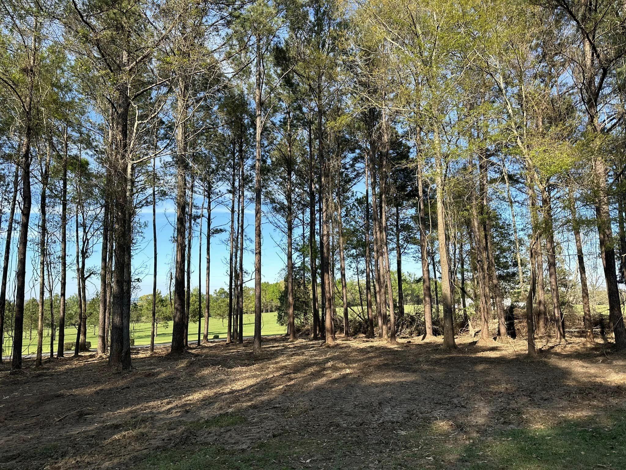 All Photos for White’s Land Maintenance in Milton,, FL