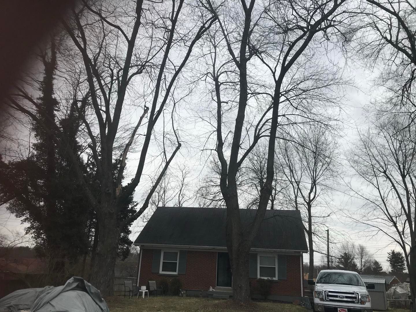  for Timber Ninja Service in Lexington, KY