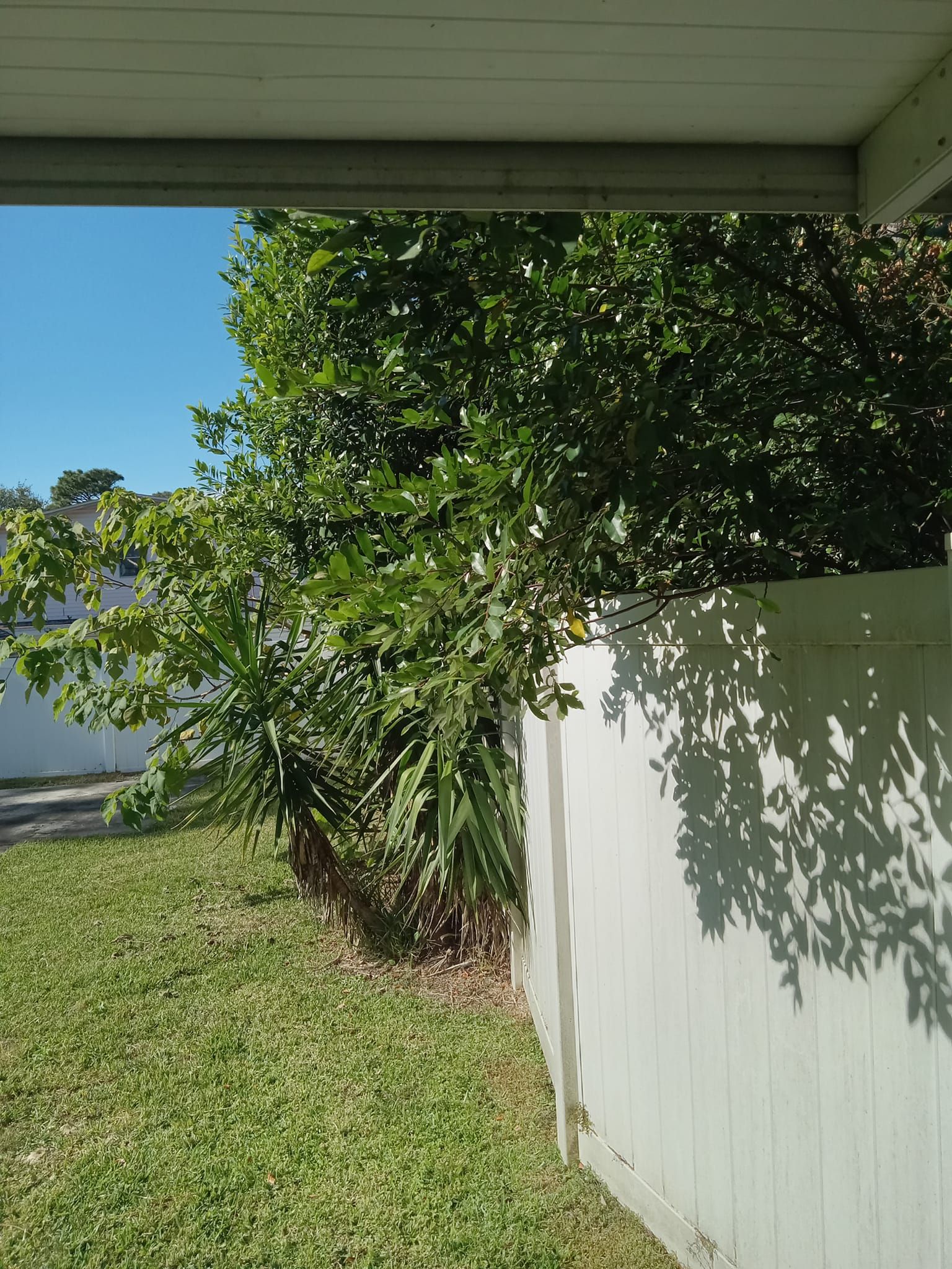 Landscaping for Tugger and Son's Lawn Care in Jacksonville, FL