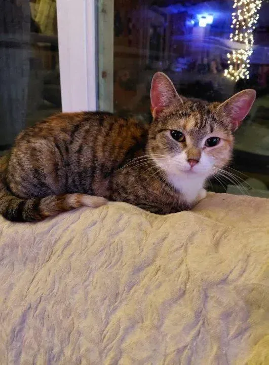  for Sullivan Sanctuary of Maine in Brunswick, ME