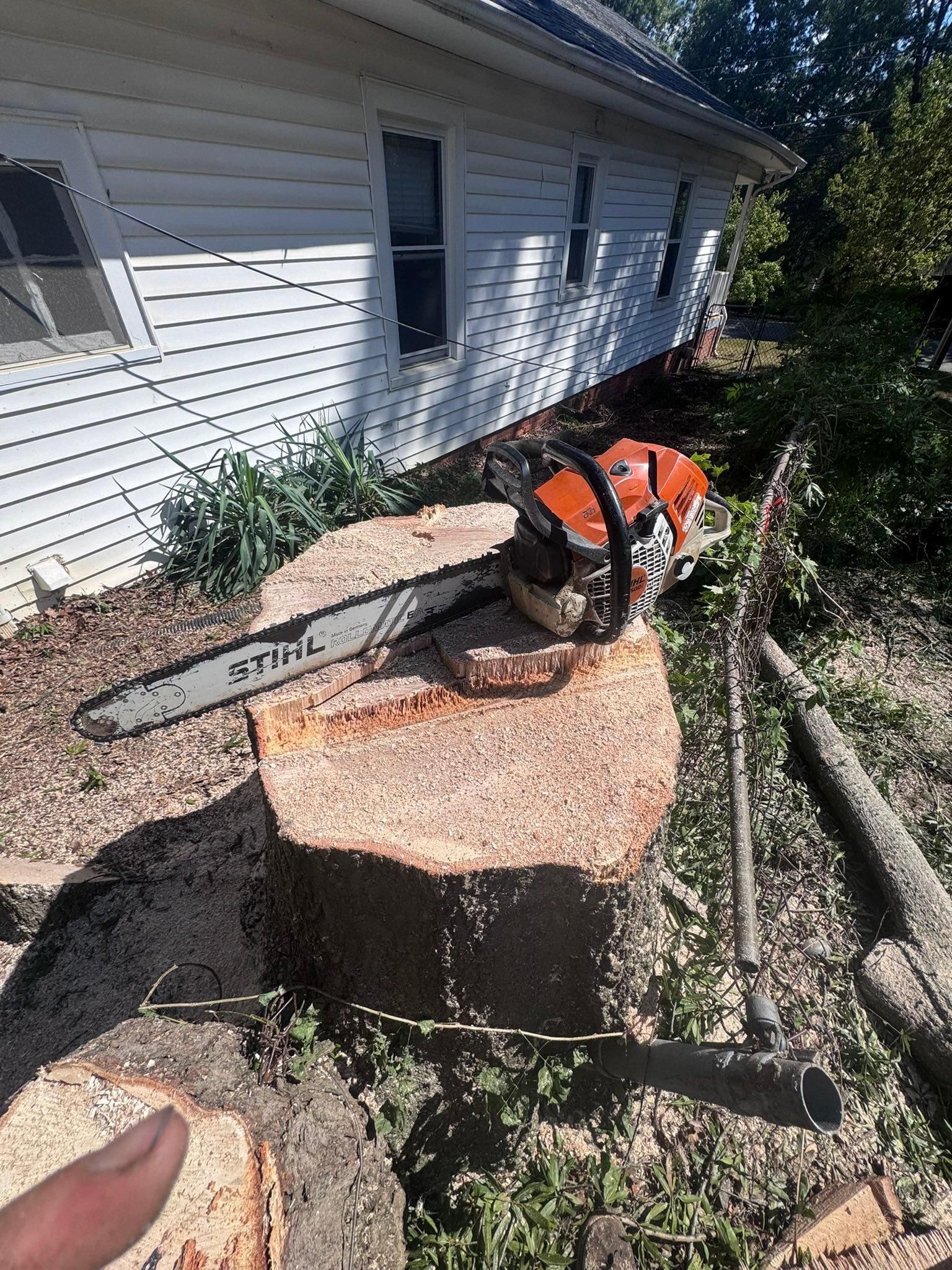 for Diversified Tree Company in Trinity, NC