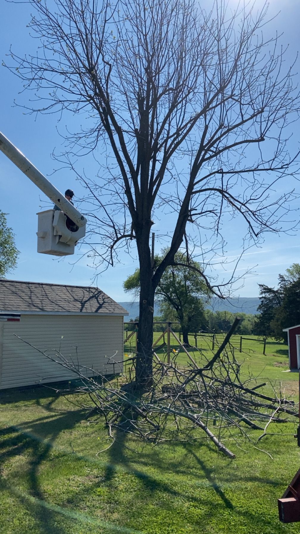 All Photos for Gray's Tree Service  in Shenandoah County, VA