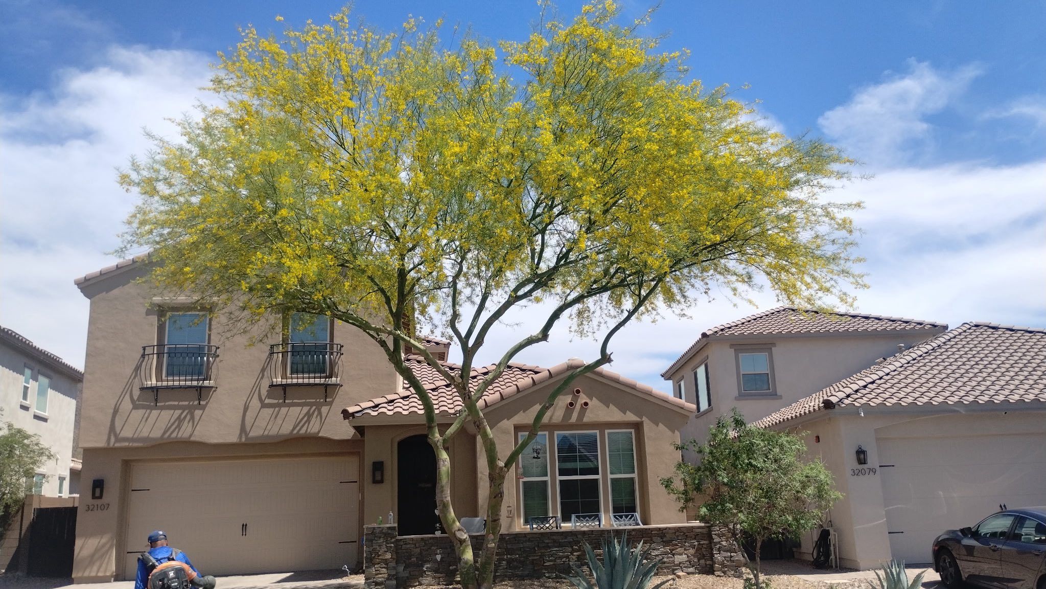 for Camacho AZ Landscaping LLC in Peoria, AZ