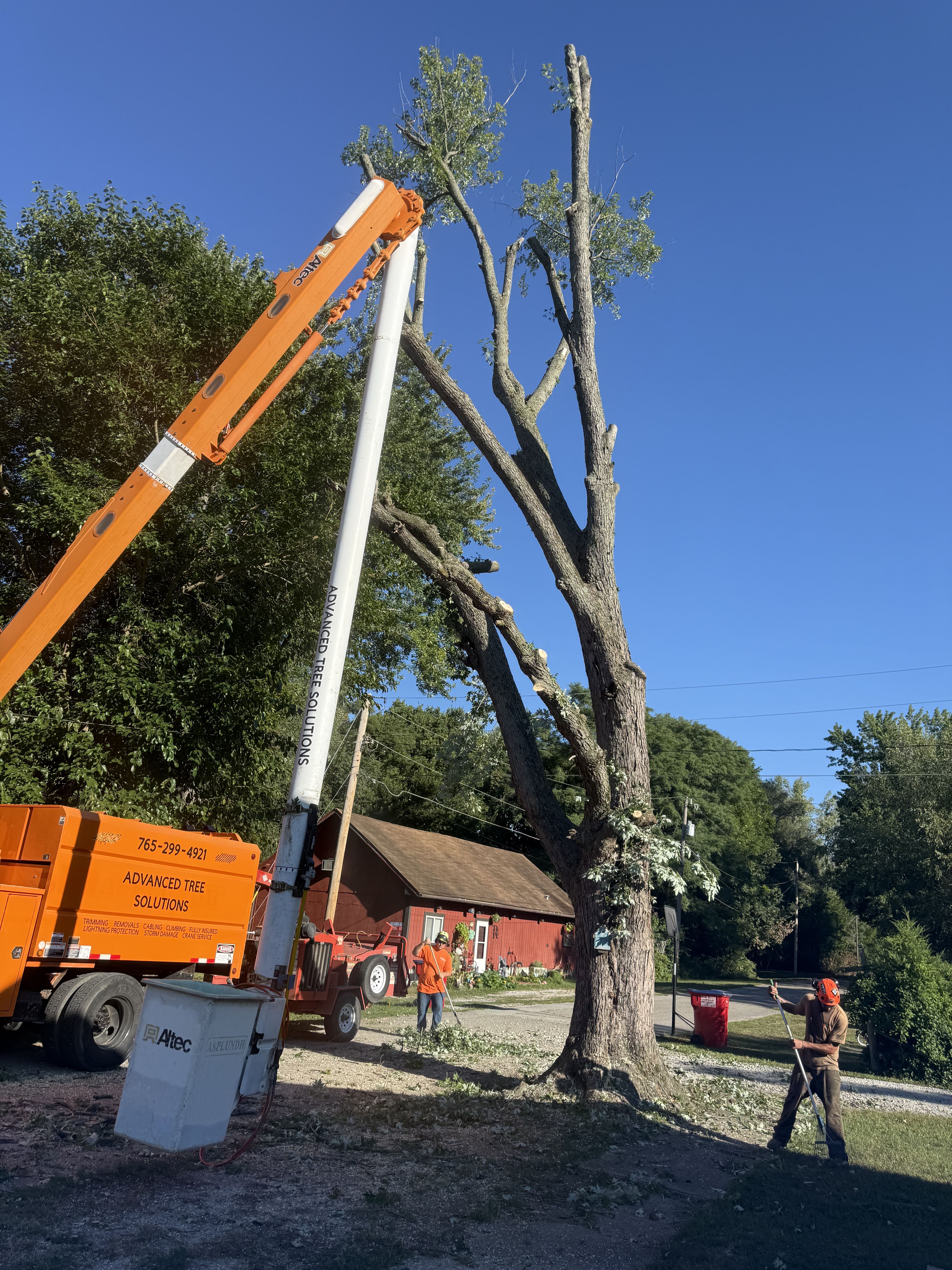  for Advanced Tree Solutions in Rockville, IN