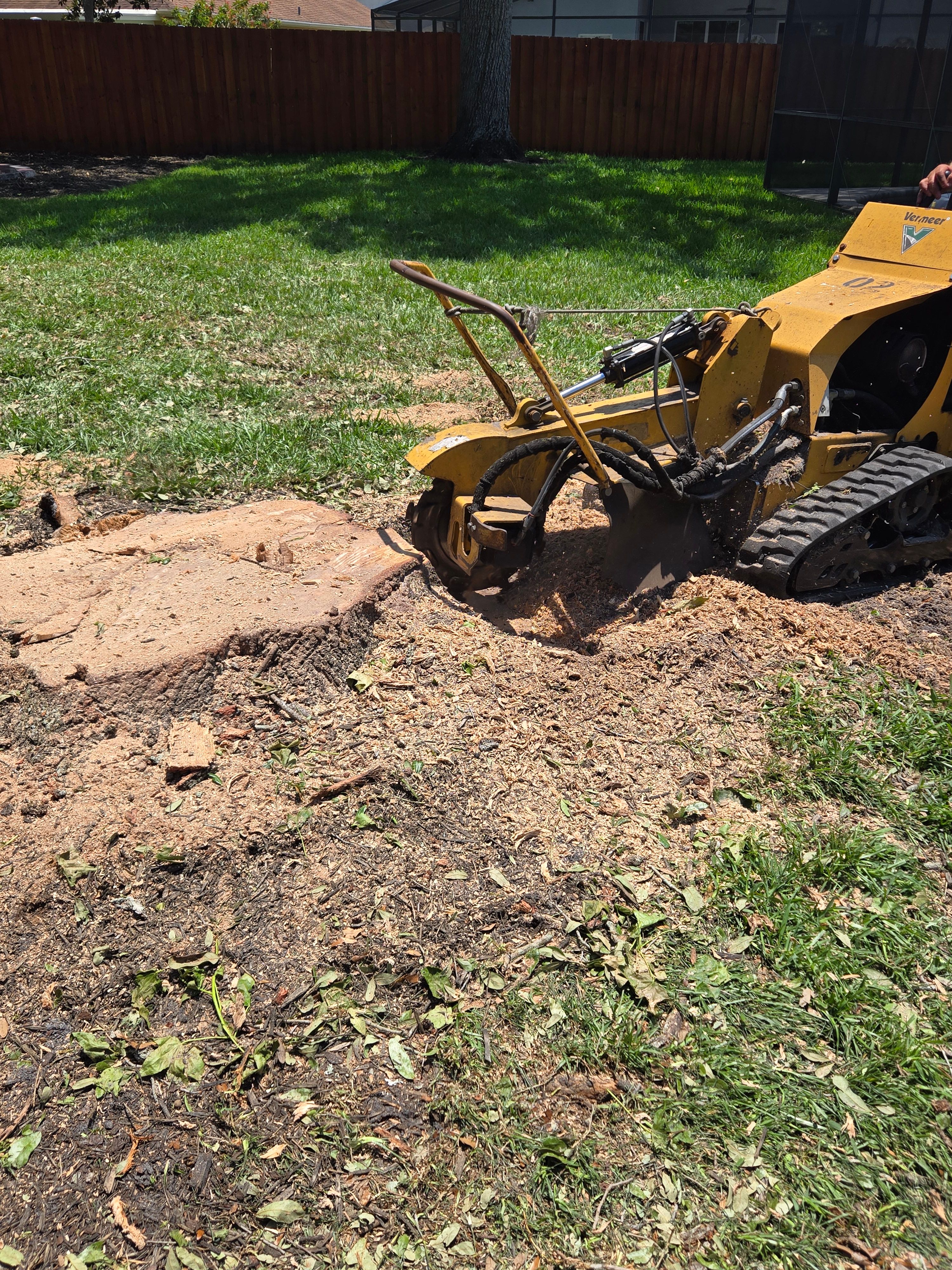 All Photos for Near Me Tree Service, Inc. in DeLand, FL