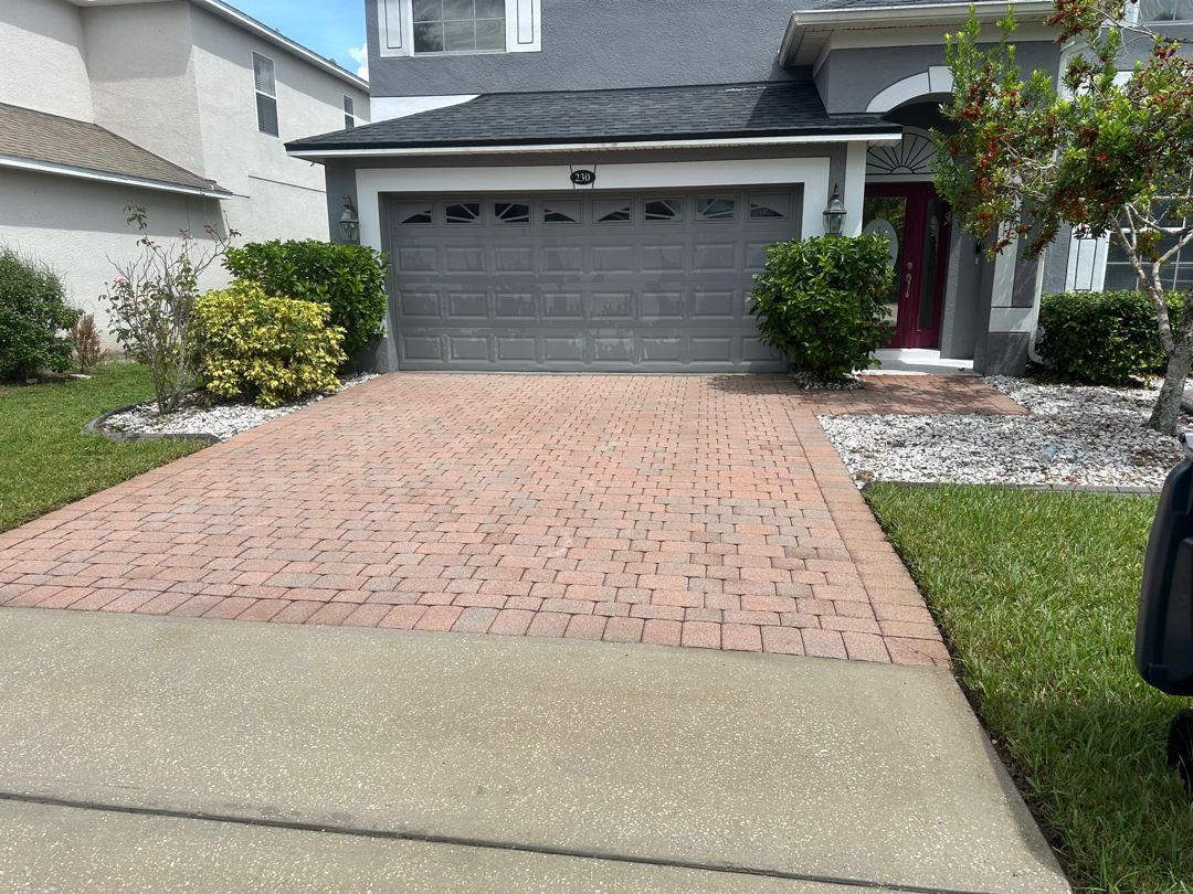 Tree Services for Ludlows Services in Clermont, FL