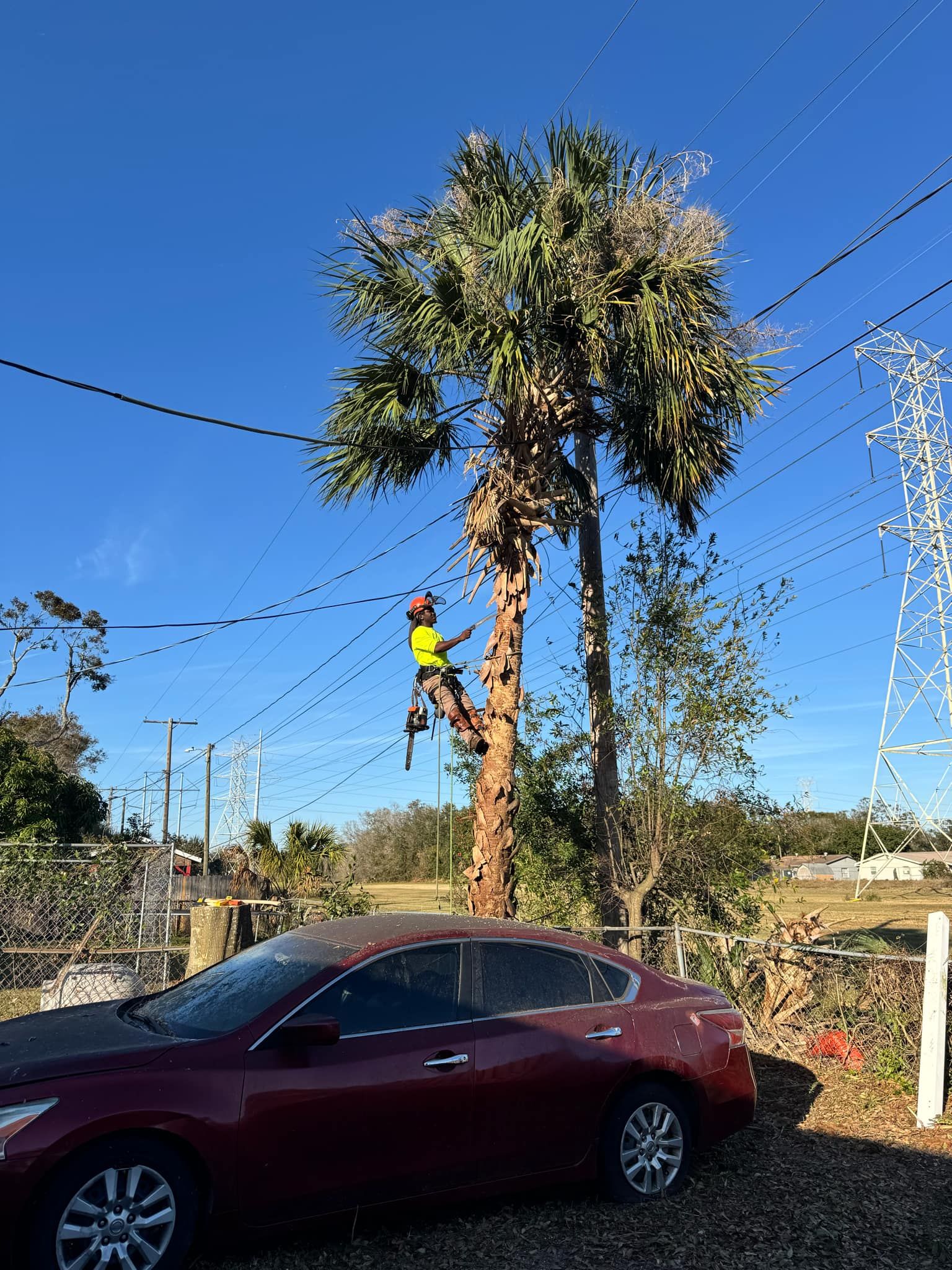  for Broadway Tree Care in Inverness, FL