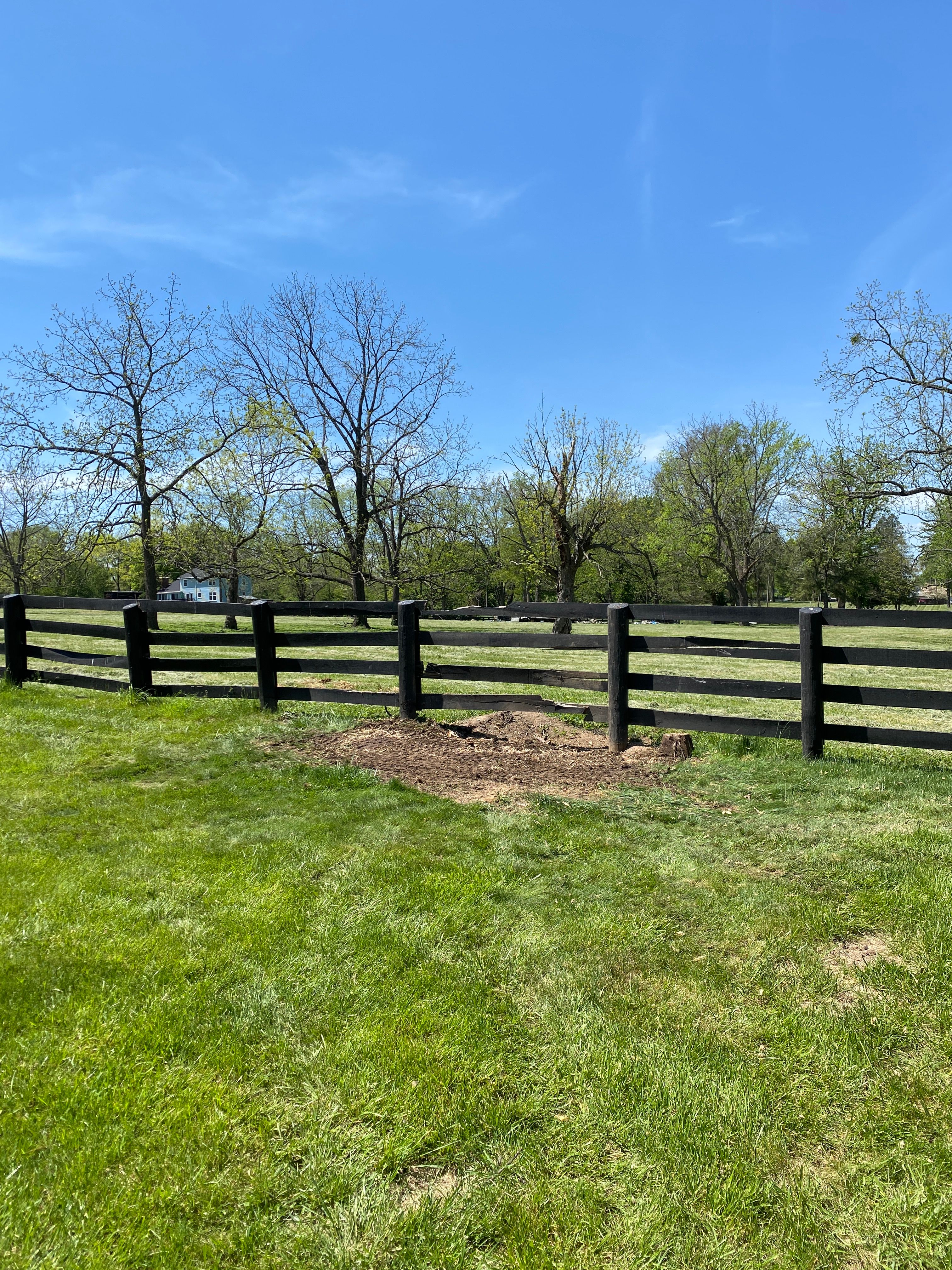 Stump removal for Houtz Tree Service in Lexington, KY