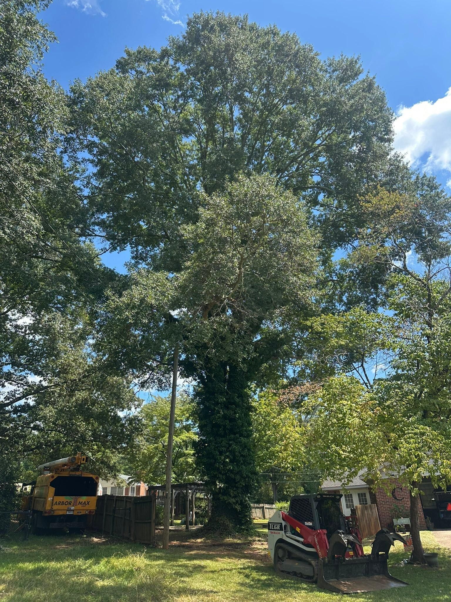 All Photos for ArborMax in Thomaston, GA