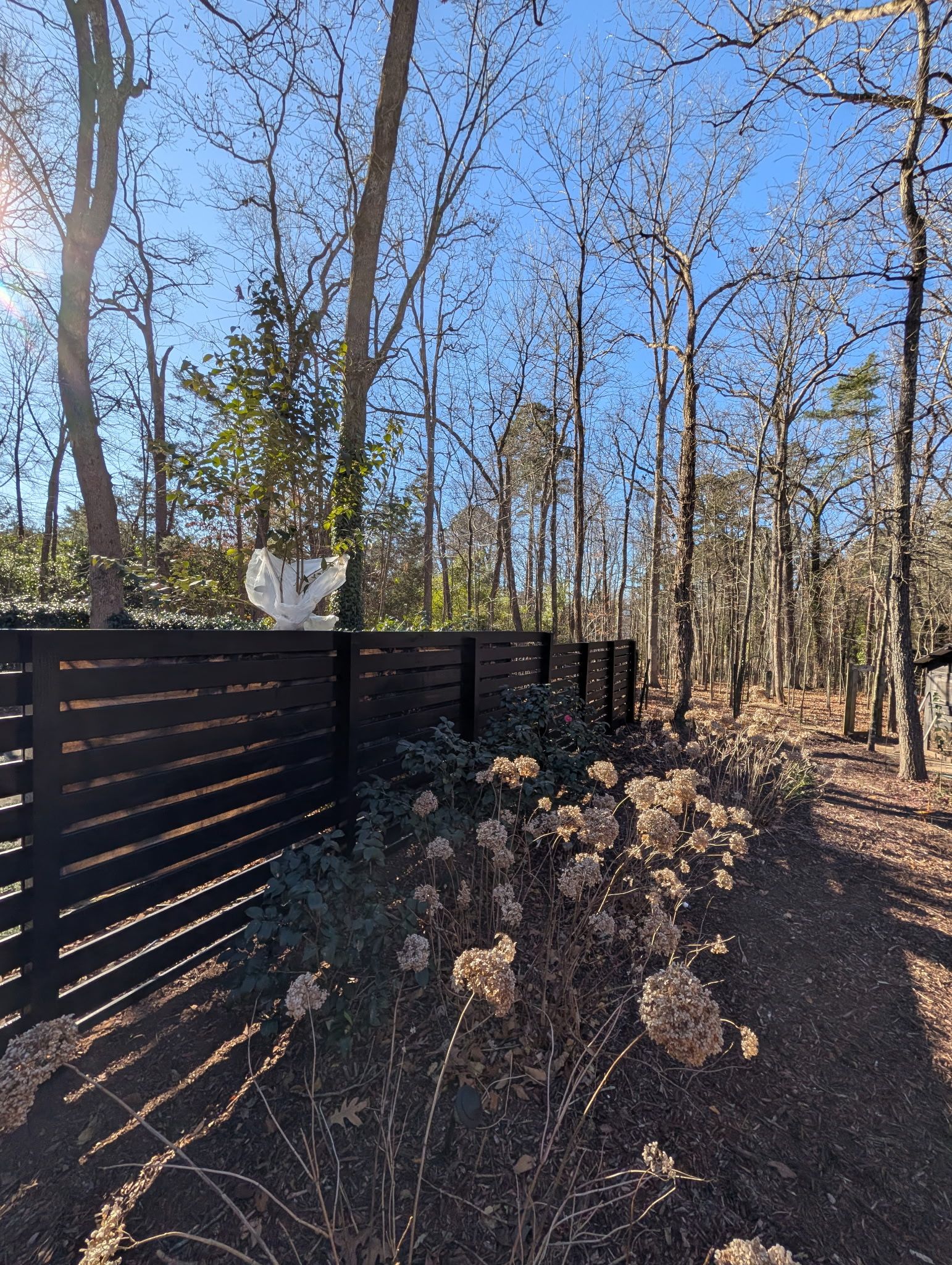  for Bambinos Painting in Durham, NC