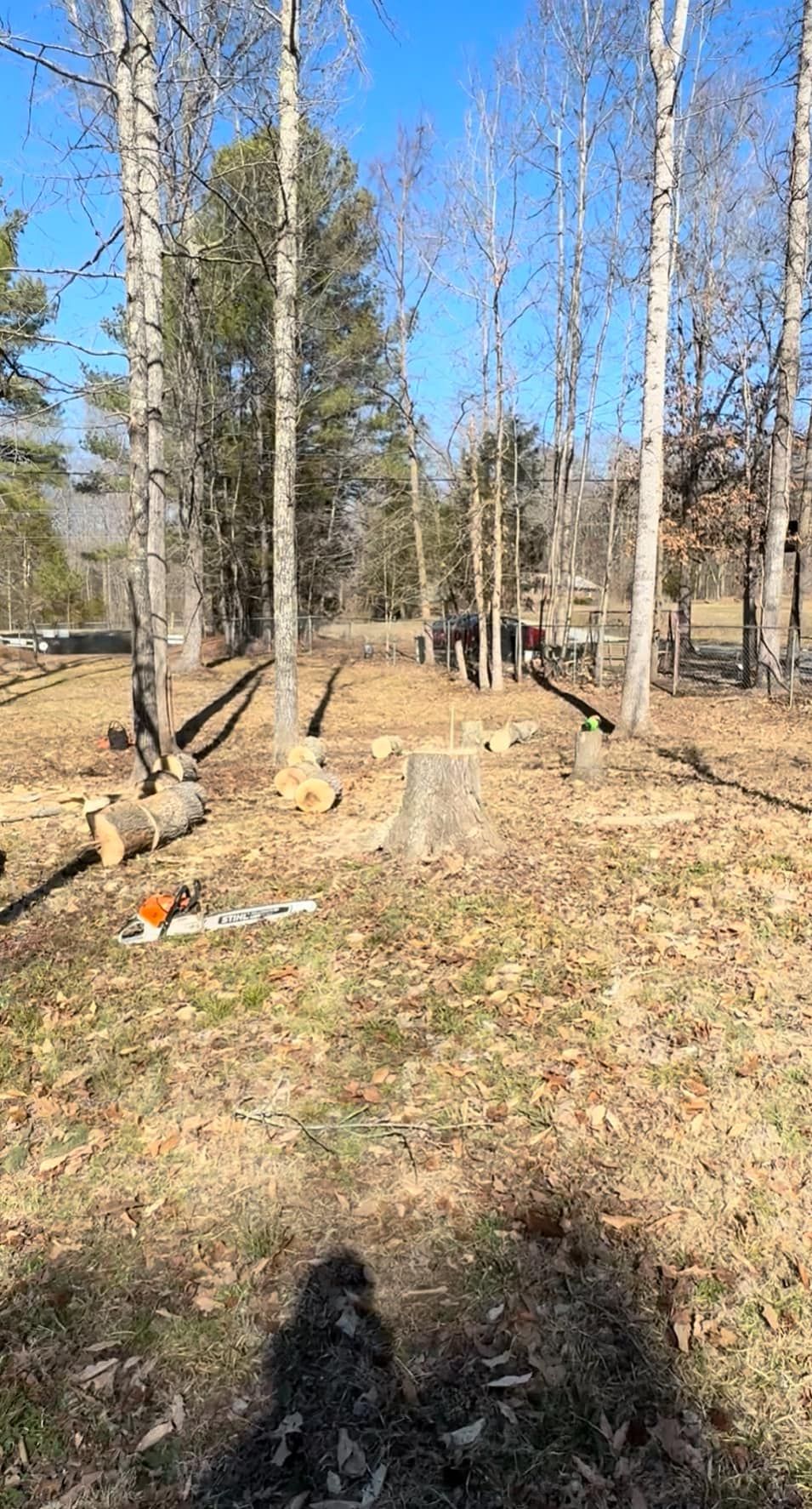 All Photos for Meade tree service in Greensboro, NC