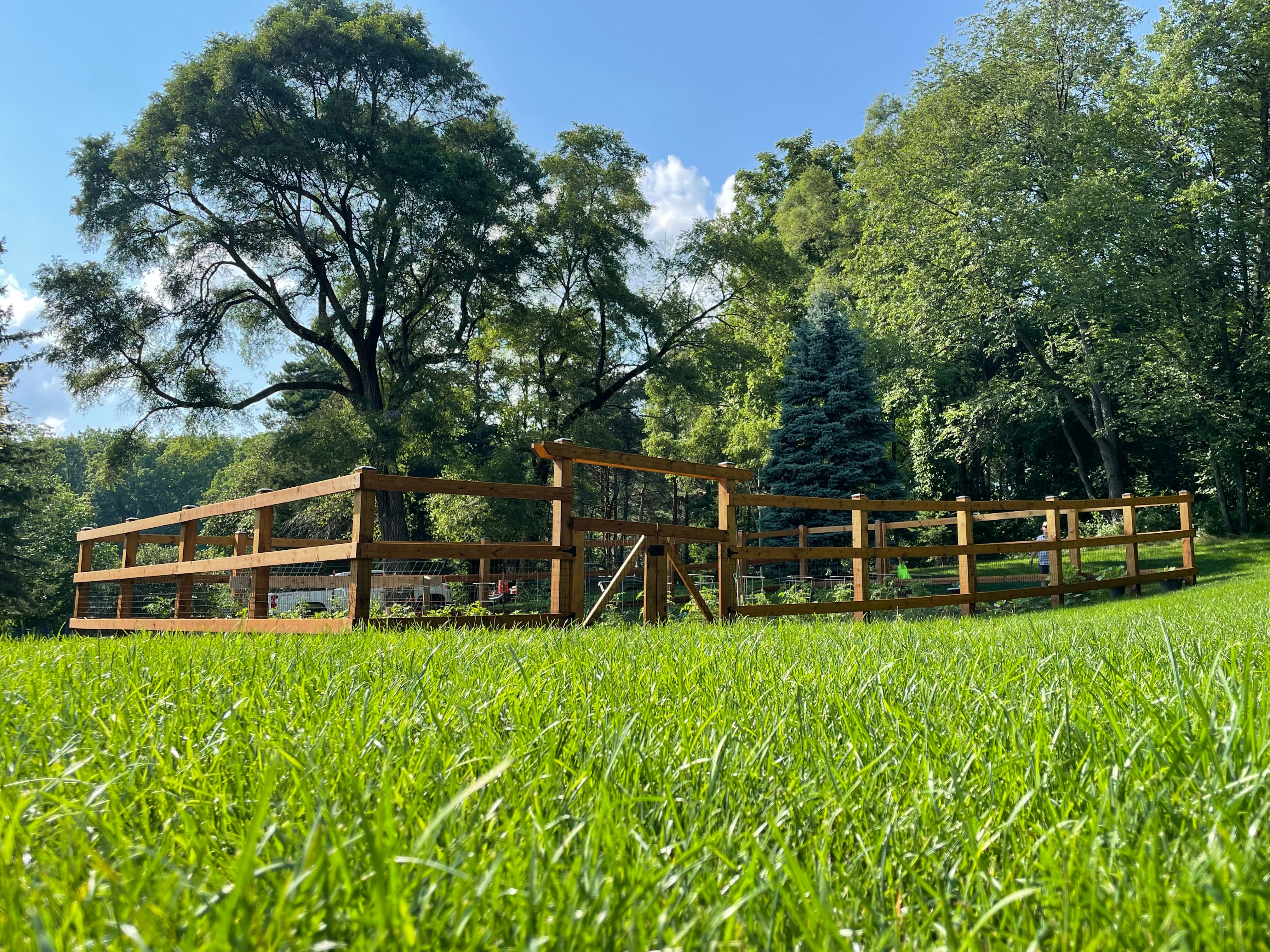  for TMF Services in Lapeer County, MI