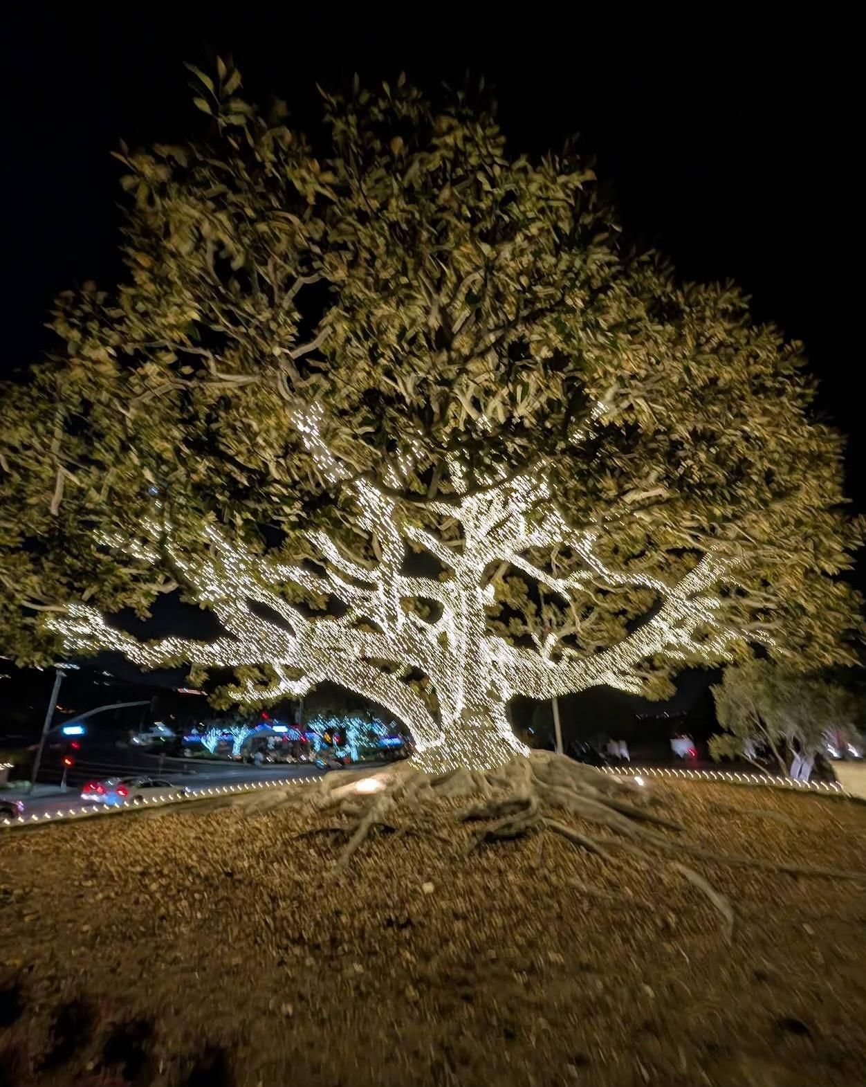 All Photos for Elite Shine Property Services: The #1 Choice for Window & Exterior Cleaning in South OC in Orange county, CA