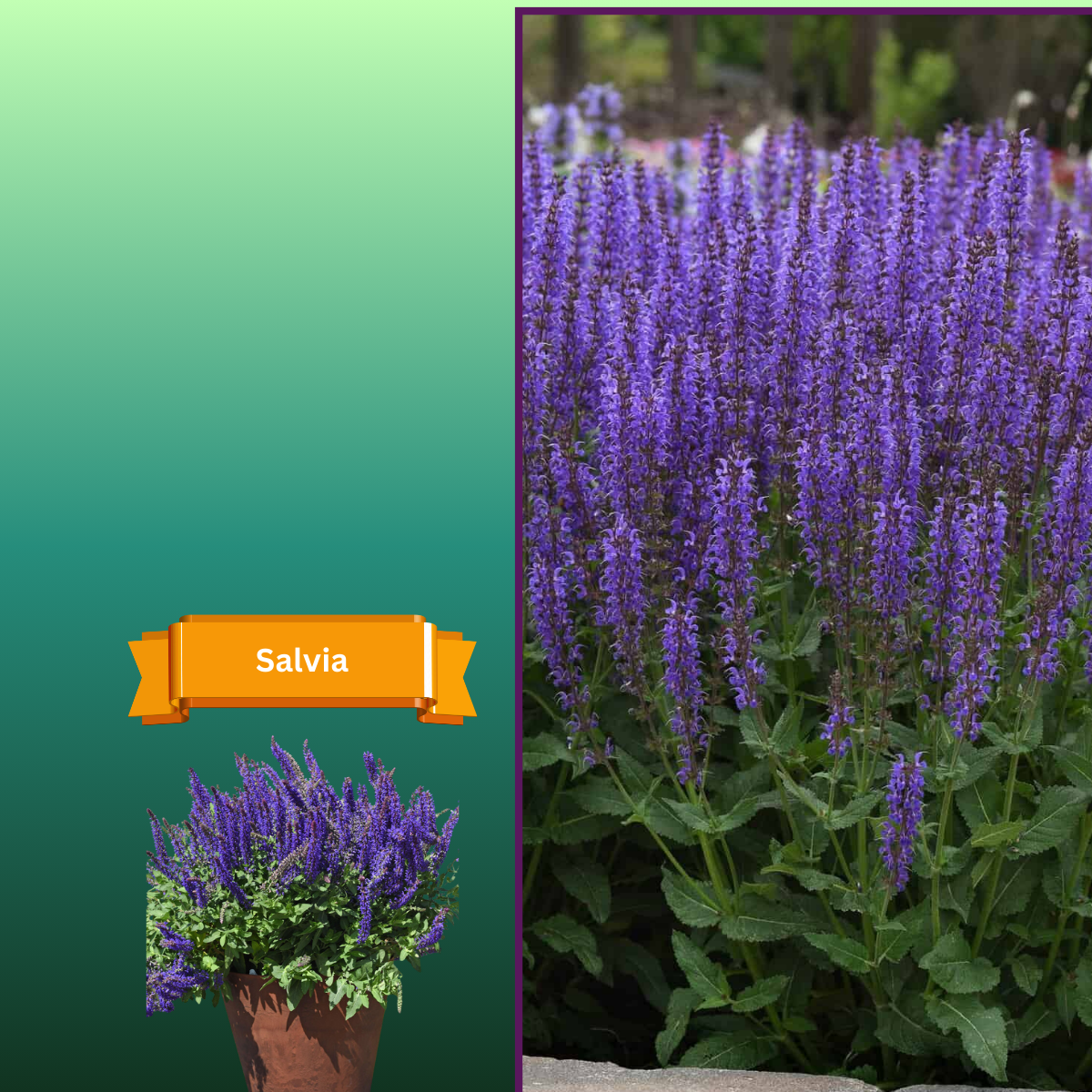  for R.B. & Company in Belleview, FL