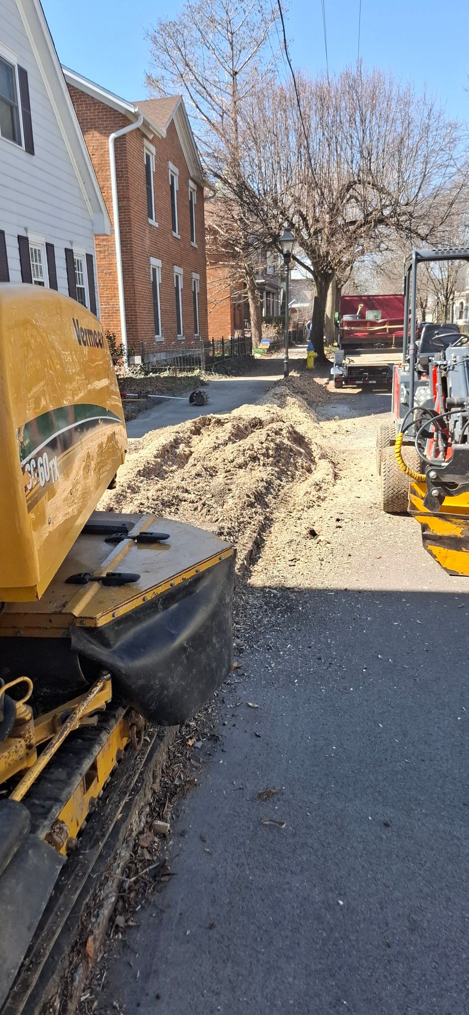 All Photos for Pro Tree Trim & Removal, Llc in Dayton, OH