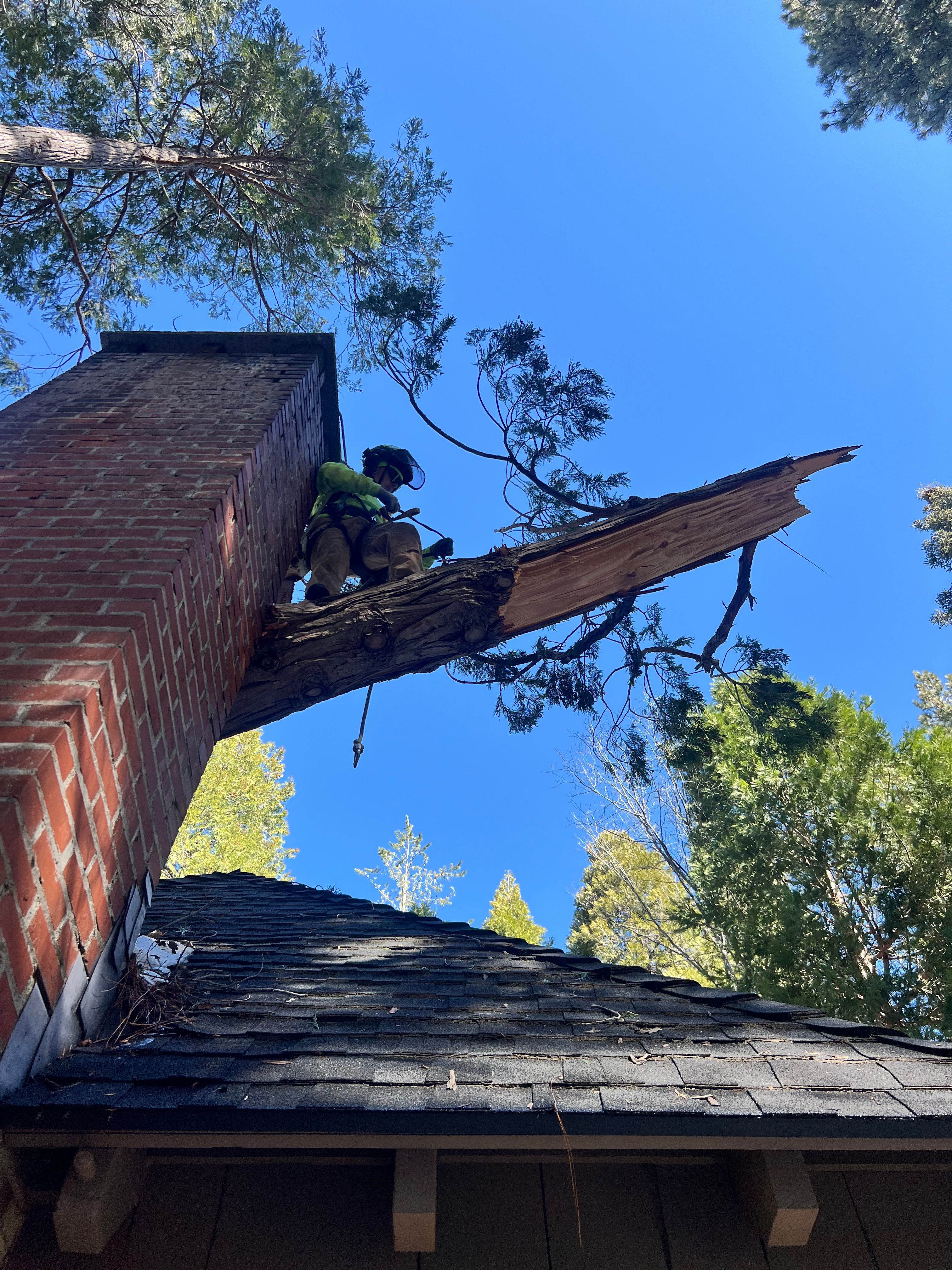  for Poseidon Valley Tree Service Corp in San Bernardino, CA