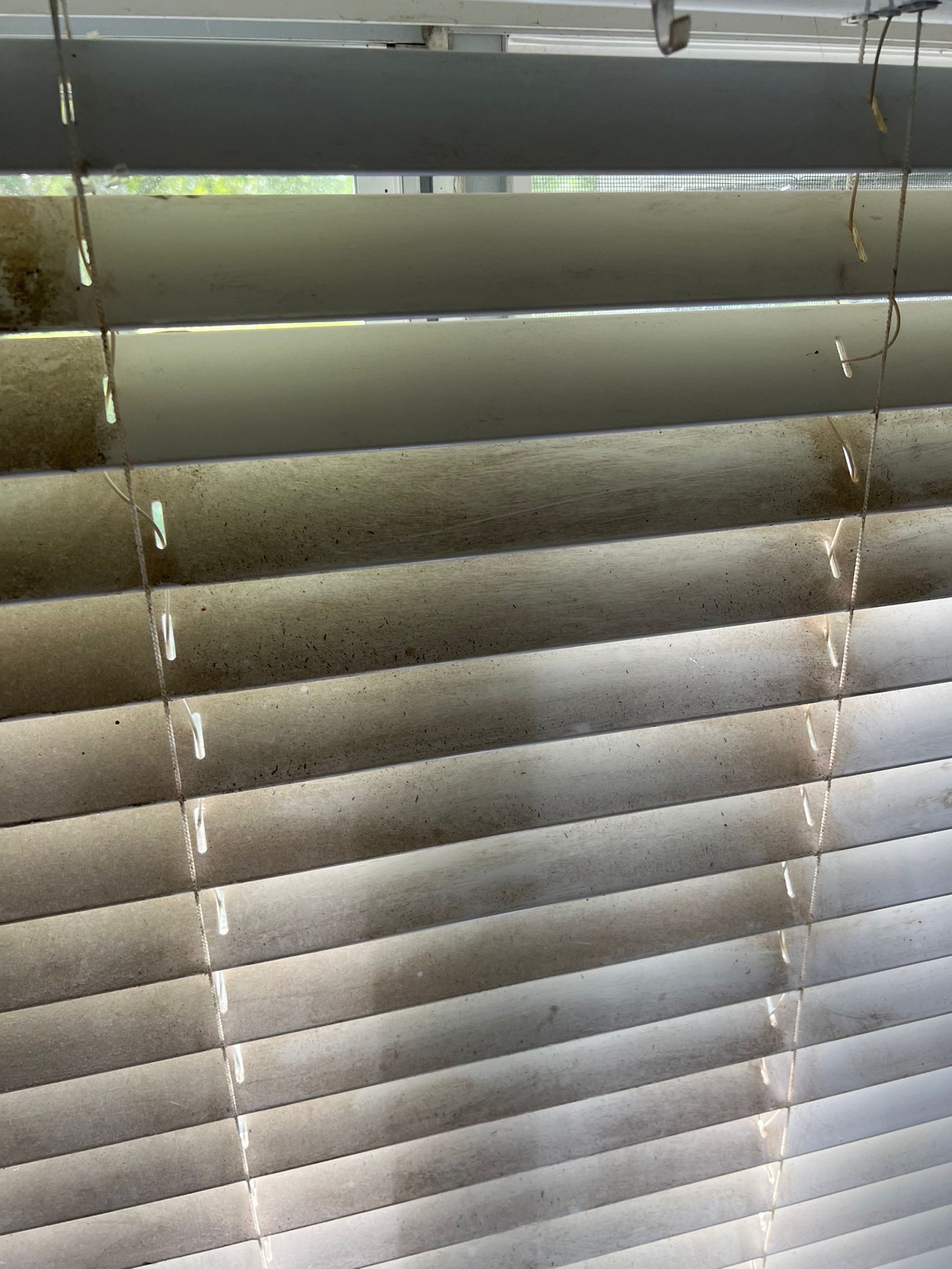  for N&D Restoration Services When Disaster Strikes, We Come In in Cape Coral,  FL