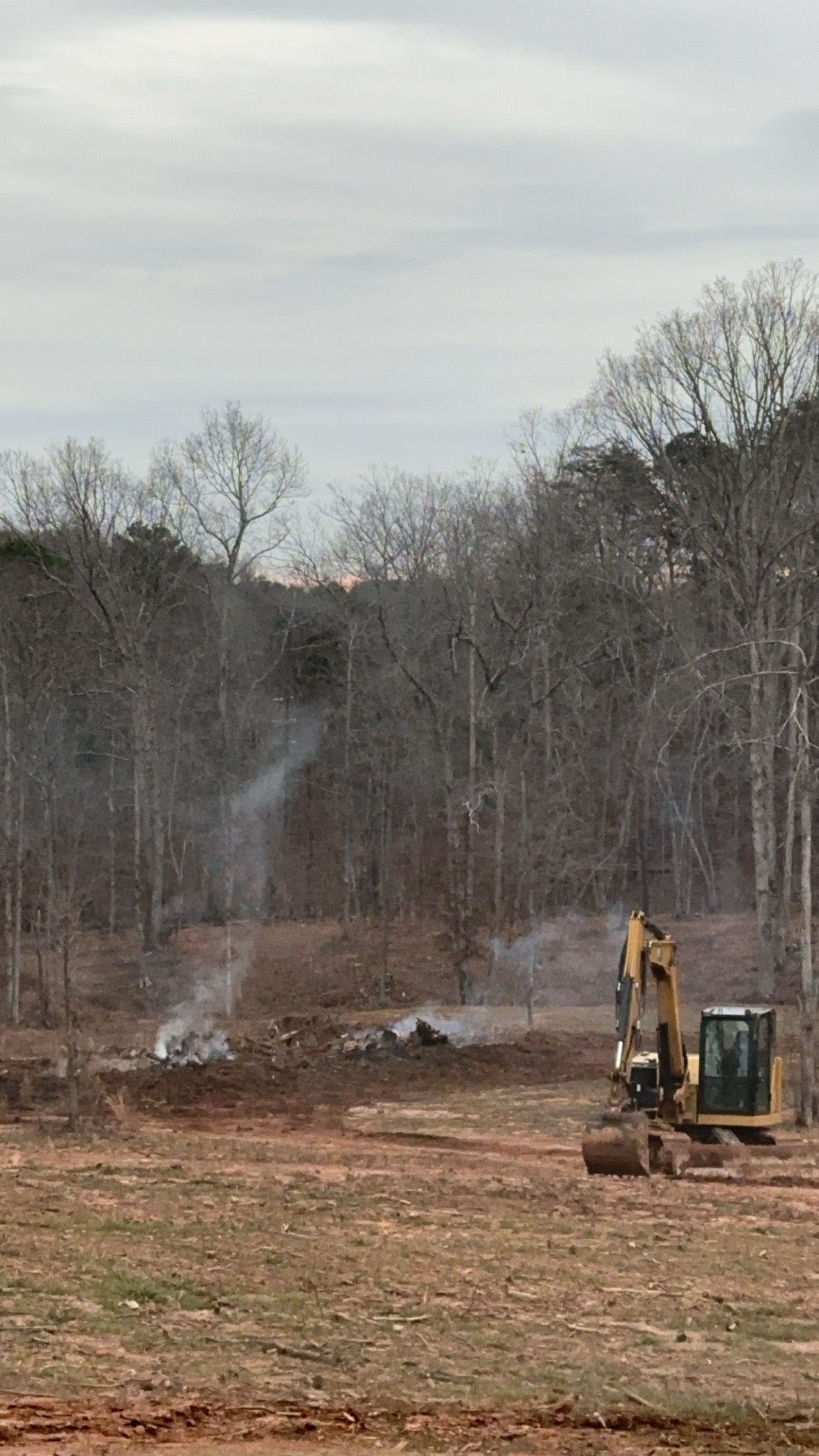  for Stines and Company  in Rutherfordton, NC