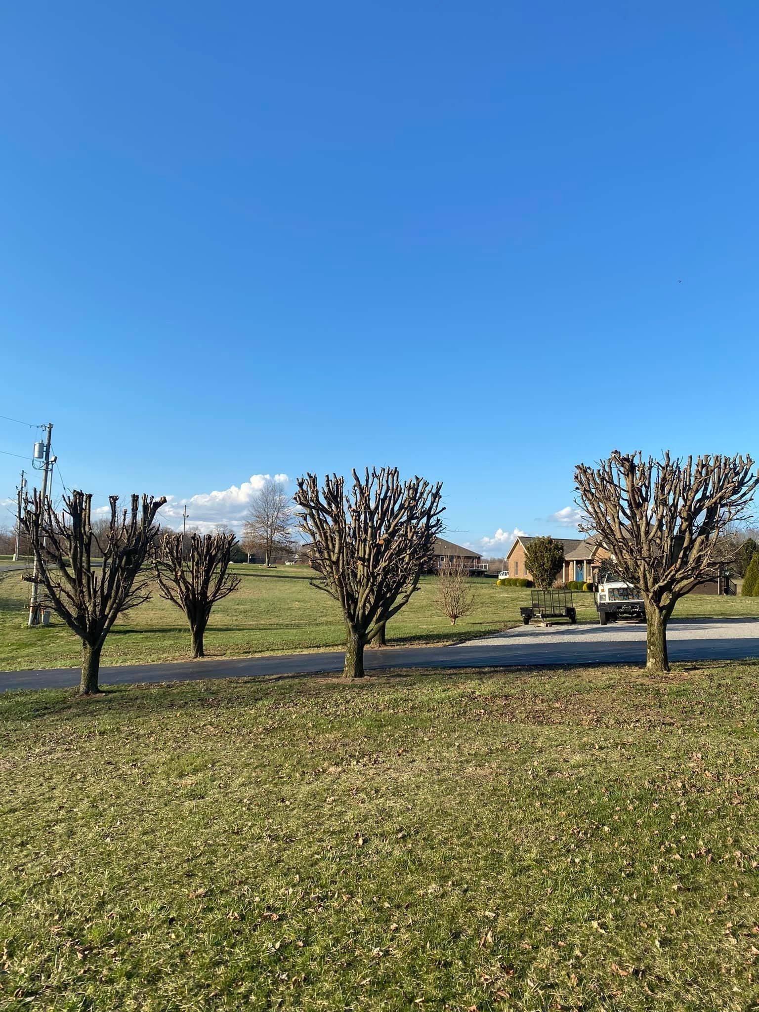 Fall and Spring Clean Up for Atwood’s Tree Care in Liberty,  KY