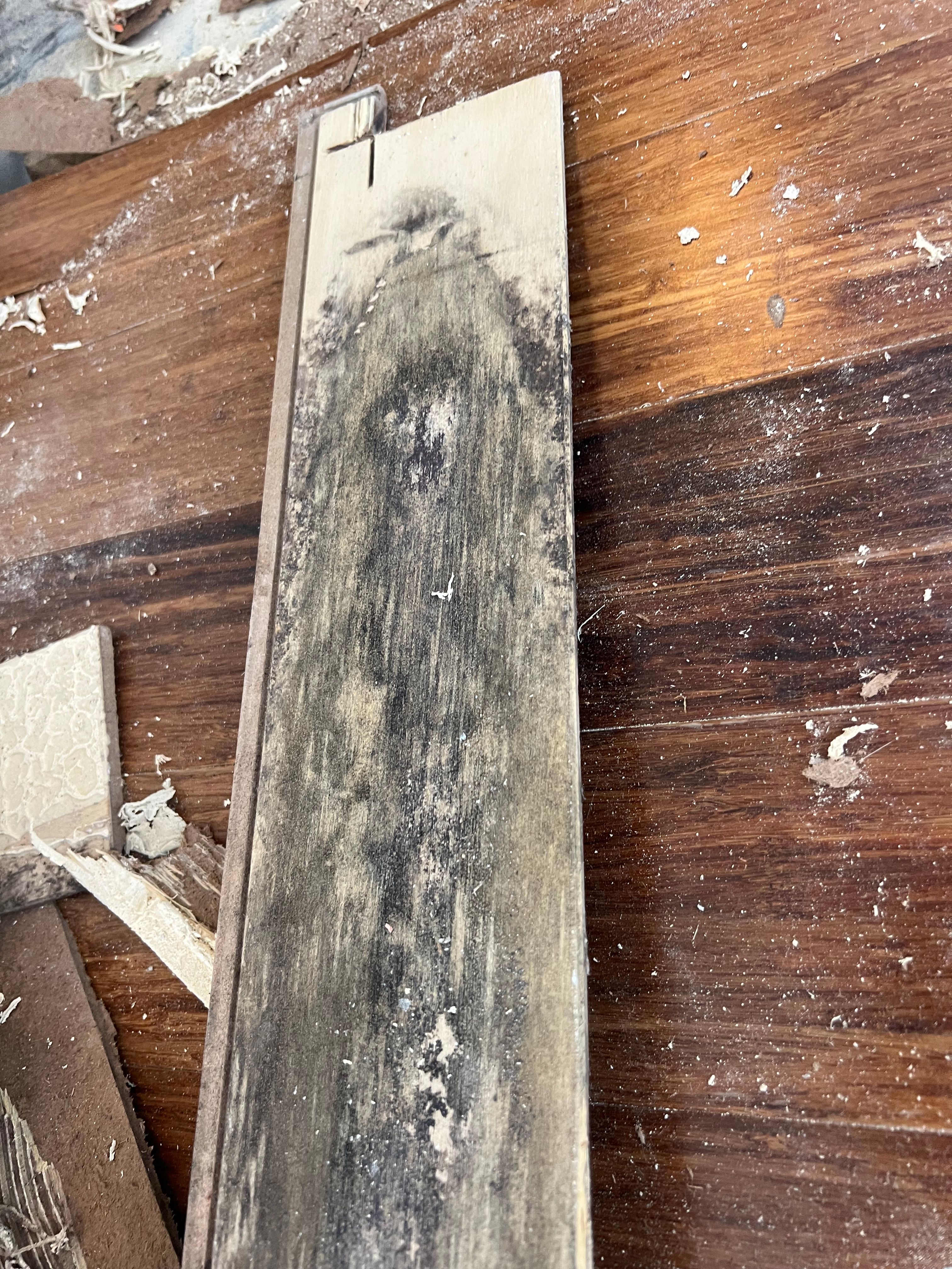  for N&D Restoration Services When Disaster Strikes, We Come In in Cape Coral,  FL