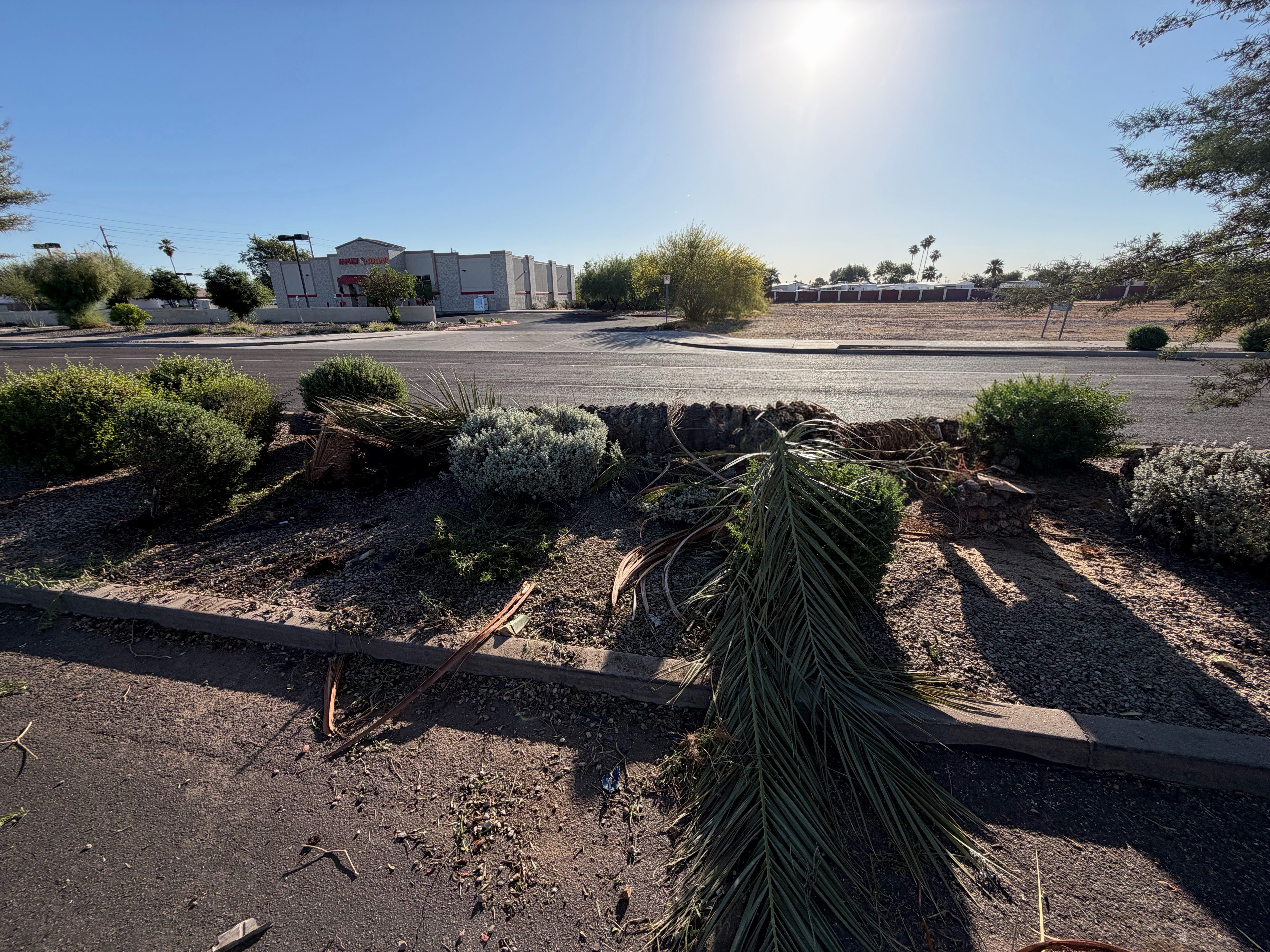 All Photos for Grand Canyon State Landscape Inc. in Surprise, AZ