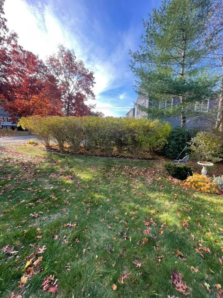  for Lucas Property Maintenance LLC in New Bedford, MA