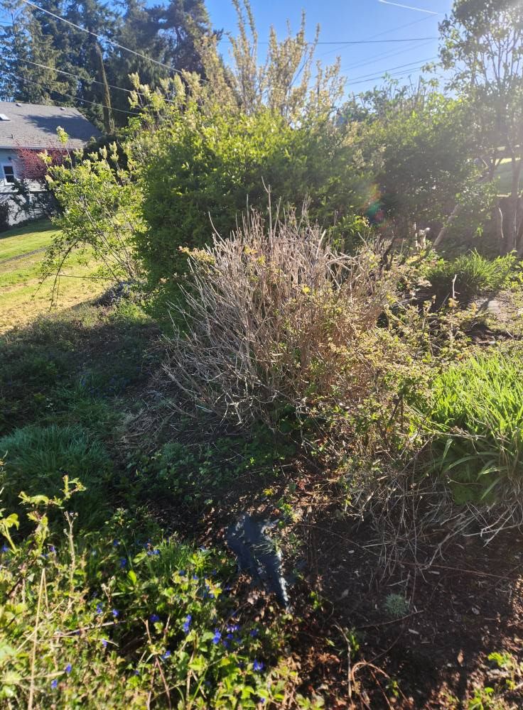  for Bob's Yard Care & Landscaping in Raymond, WA