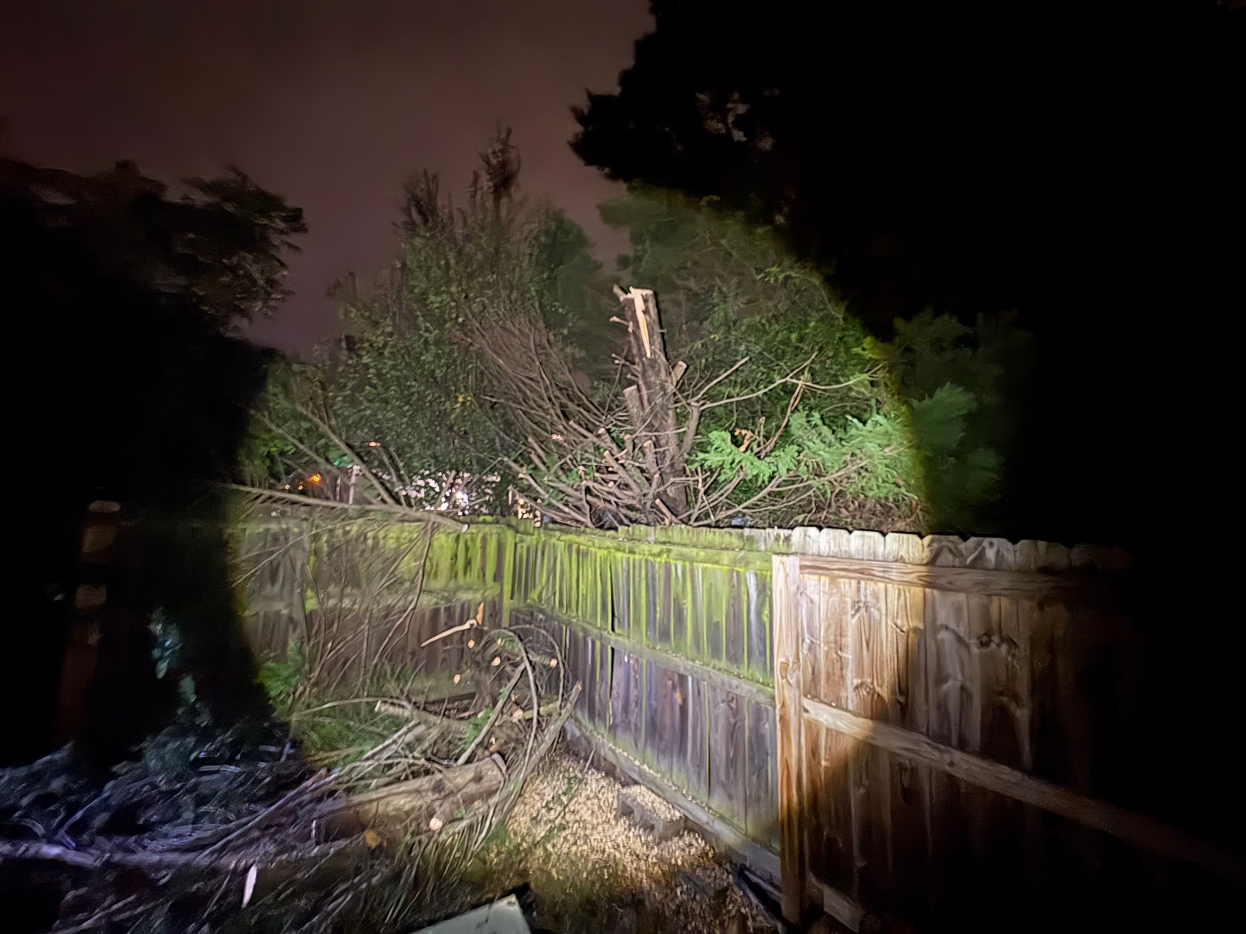  for Tidewater Tree Service in Chesapeake, VA