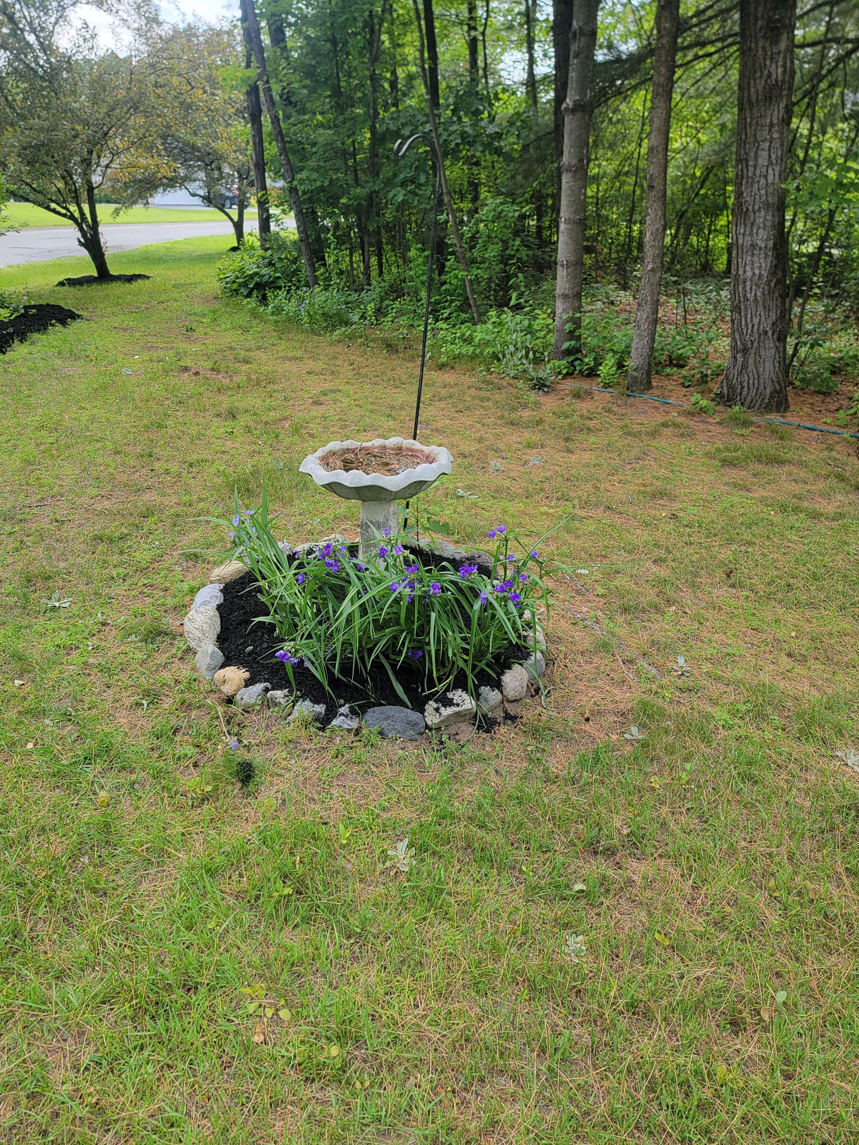  for Sweet Scapes in Ballston Spa, NY