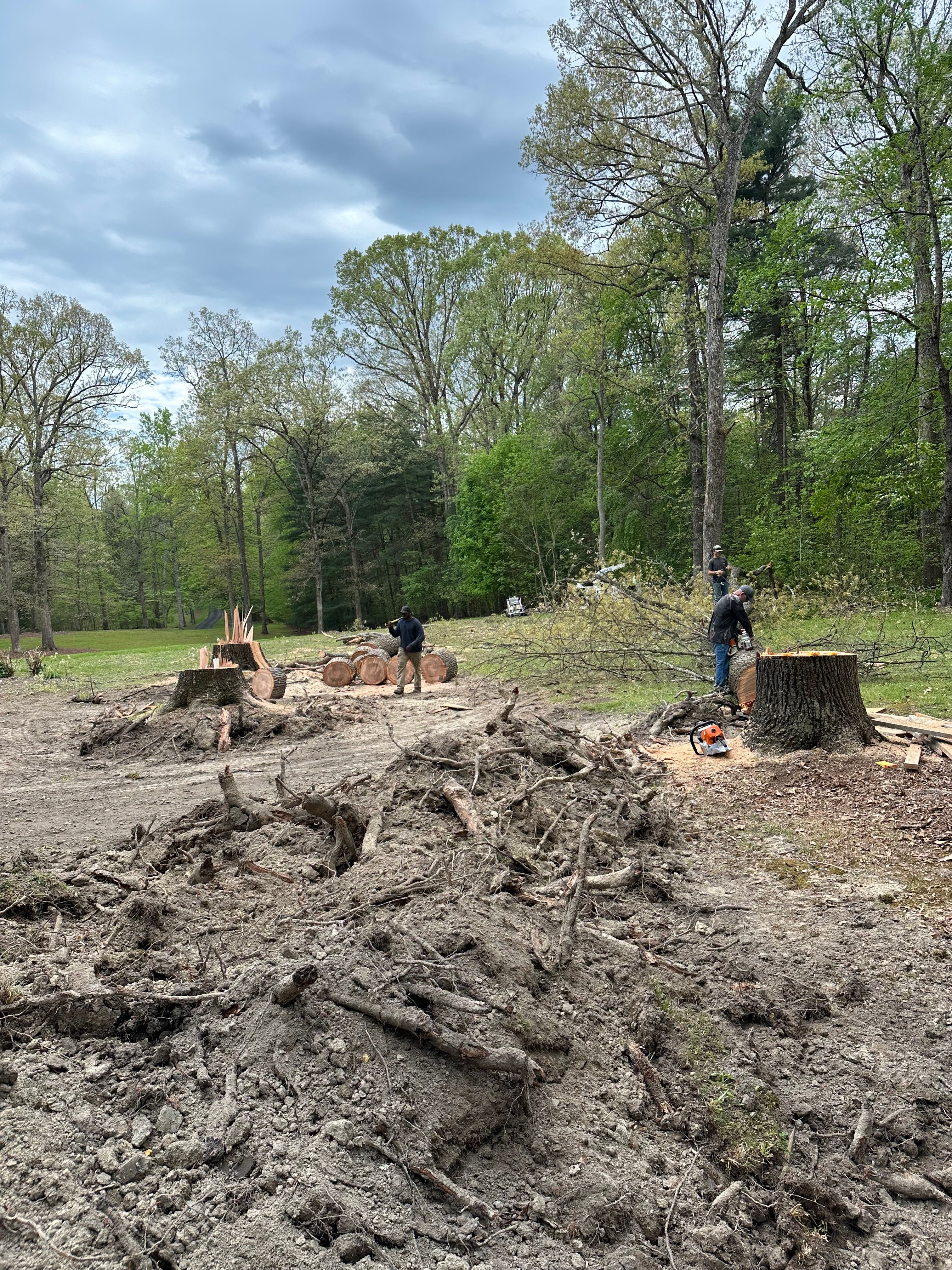 All Photos for Ramirez Tree Care in Elkin, NC